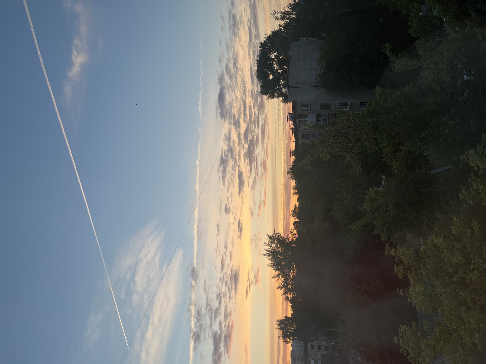 The image displays an urban or suburban landscape during either sunrise or sunset, characterized by a vibrant sky and silhouetted elements. The upper sky is a clear light blue, gradually transitioning into warm gradients of orange, pink, and yellow towards the horizon. Scattered clouds, predominantly cumulus, are illuminated by the low sun, showing touches of these warm colors.
A distinct, long, white airplane contrail stretches diagonally across the blue expanse of the sky. Several small, dark specks, likely birds, are visible in the upper sky. A thin, dark line, possibly an overhead wire or cable, horizontally bisects the image.
Below the colorful sky, a dense mass of dark green trees forms a prominent foreground, their foliage silhouetted against the bright horizon. Behind and peeking through the trees, parts of multi-story buildings are visible. These structures appear to be concrete residential blocks with multiple windows and balconies, largely in shadow, complementing the natural elements of the scene.
The photograph captures a tranquil moment where natural light and sky colors meet urban structures and greenery. No visible text is present in the image.