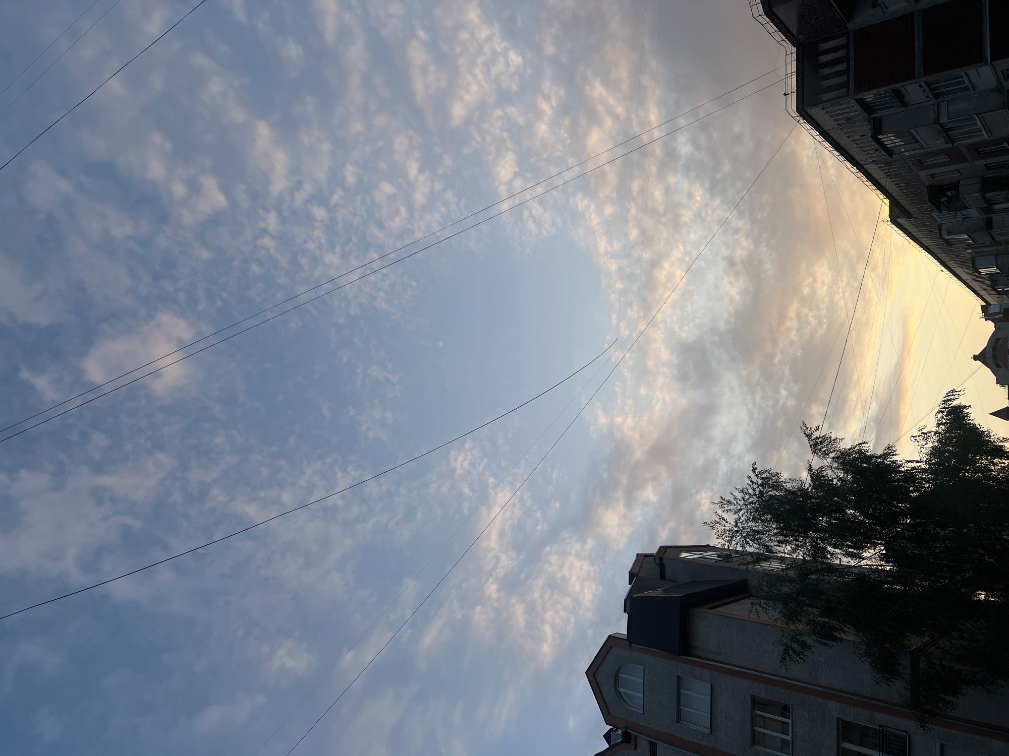 The image presents an upward view of a cloudy sky in an urban setting, likely during sunset or sunrise, in Ternopil, Ukraine. The sky transitions from a lighter blue on the left to warmer golden and orange tones on the right, indicative of low sun angle. Scattered, textured altocumulus clouds cover most of the frame. Several thin, dark utility lines stretch across the sky.
In the bottom right, a portion of a multi-story building with a grey facade, darker trim, and various windows, including a distinctive arched window, is visible. A dark, leafy tree partially obscures this building. The upper right corner reveals the dark facade of another building, featuring multiple windows and architectural elements typical of an urban structure. The perspective is from below, looking up between buildings.
No people, animals, or specific activities are depicted. No text is visible in the image. The scene captures a tranquil moment, highlighting the sky and urban architecture.