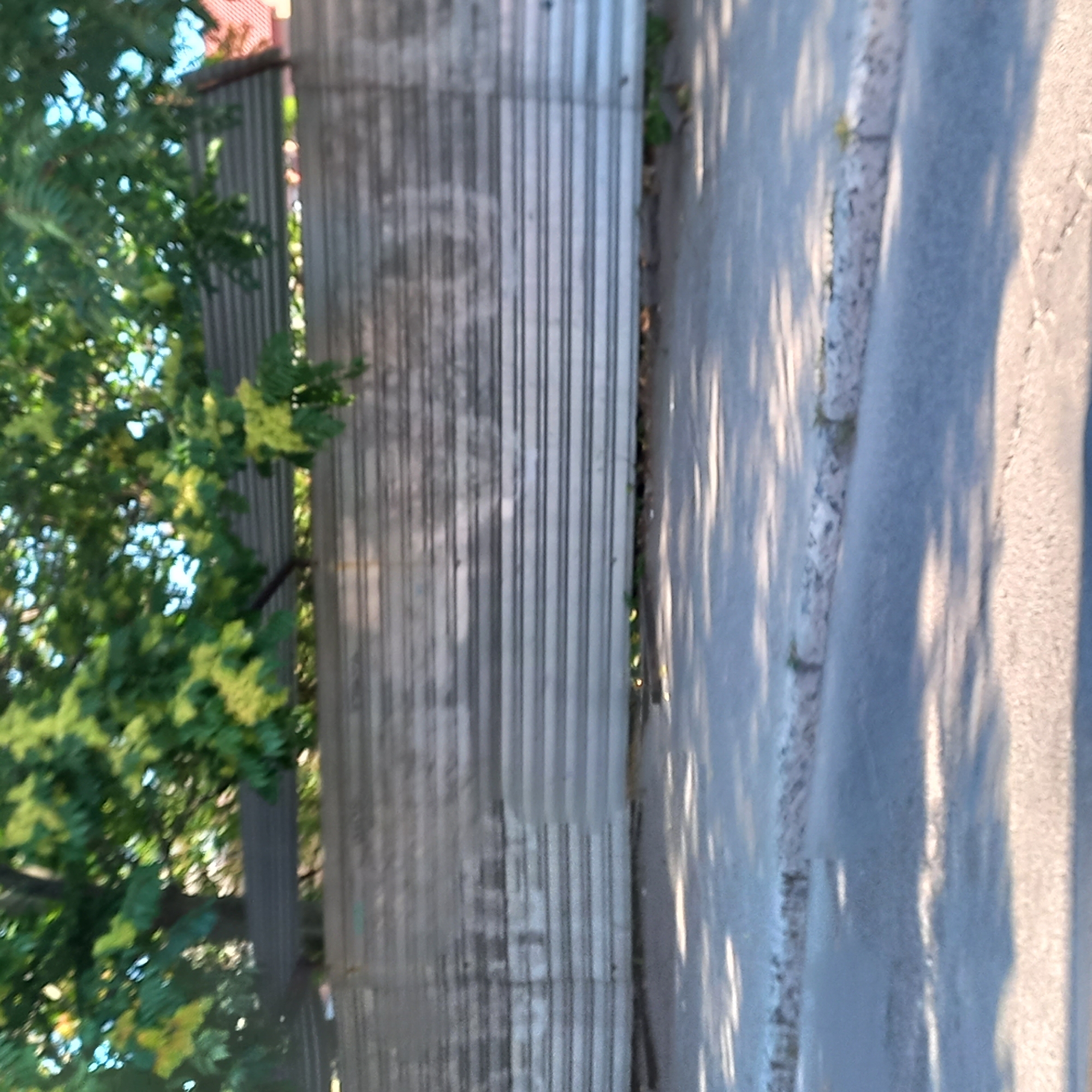 The image depicts a corrugated metal fence running horizontally across the midground, partially obscured by lush green foliage from trees overhead. The fence appears weathered, with some discoloration and texture variations. In the foreground, a paved surface, possibly a sidewalk or road, is visible, with dappled sunlight and shadow patterns cast by the trees. A concrete curb separates the paved surface from a strip of earth or grass at the base of the fence, where some small green plants are growing. The background shows more of the foliage and hints of buildings with red roofs to the right. The scene is outdoors and appears to be in a moderately urban or suburban setting. The image is taken from a slightly elevated perspective looking towards the fence.