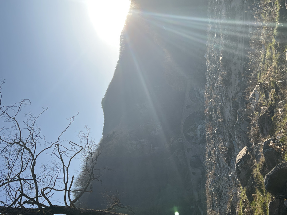 The scene is a static exterior view of the Devil's Bridge (Dyavolski most) near Diadovtsi, Bulgaria. The sky is clear blue. A substantial, leafless deciduous tree trunk and branches are visible on the left side of the frame. The background features tree-covered mountains partially obscured by atmospheric haze. Strong sunlight from the upper right creates prominent lens flare and sun rays. In the mid-ground, a multi-arch stone bridge extends across a dry, rocky riverbed containing sparse, dried vegetation. No human subjects or discernible activity are present.