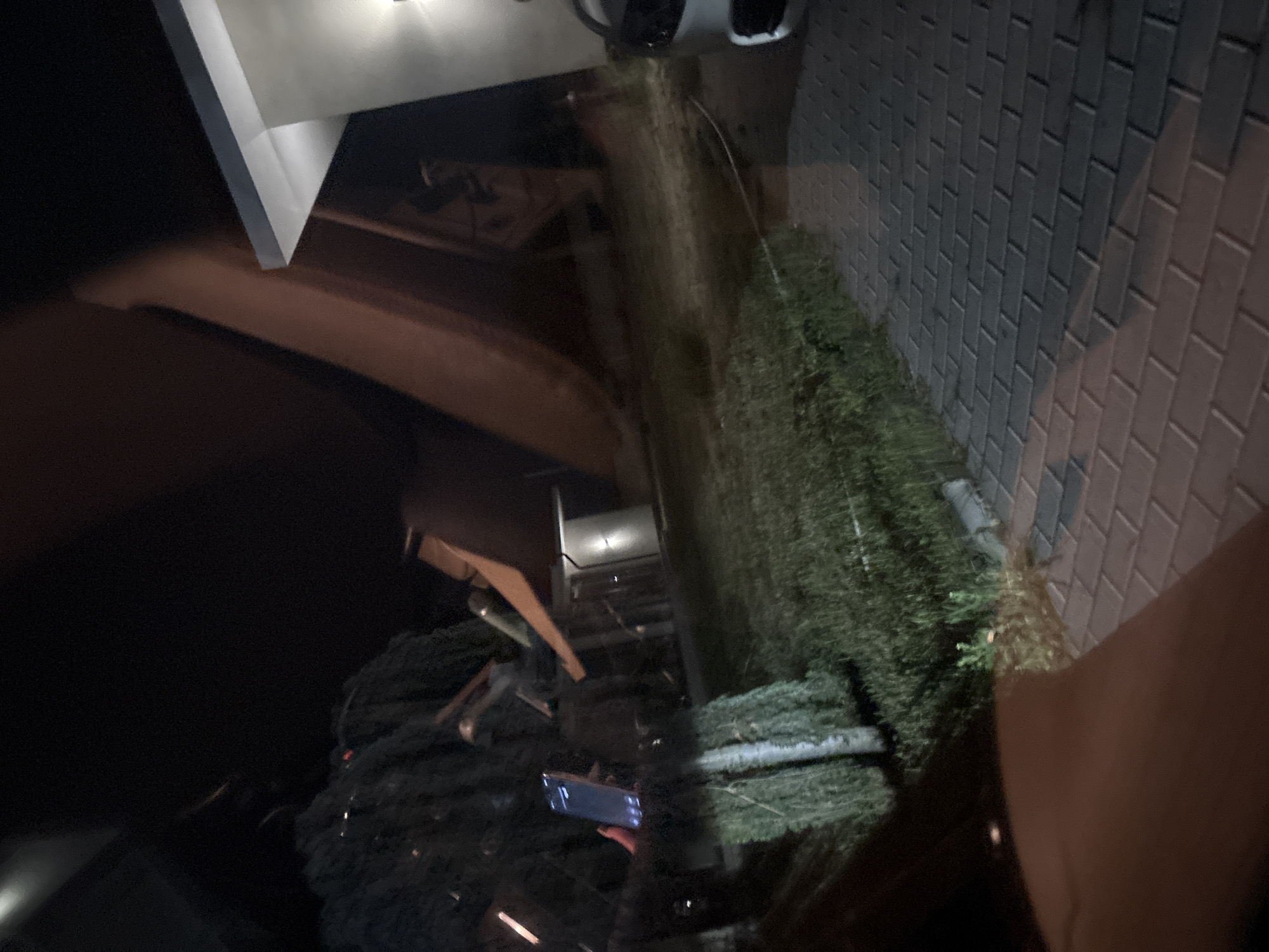 The image captures a nighttime outdoor scene, viewed from an interior space through a reflective surface, evident from prominent reflections across the frame. The perspective is slightly elevated, looking down and across.
In the midground, a significant collection of evergreen trees, likely Christmas trees, are arranged horizontally. Several trees appear bundled, suggesting they are prepared for sale or transport. Adjacent to the trees on the right, a paved ground surface is visible, constructed from dark grey rectangular interlocking bricks.
To the upper left, parts of a modern building with clean, white, angular architectural features are illuminated by artificial lights, casting a glow on the immediate surroundings. Further back and slightly to the right, another structure with a visible light source can be seen.
In the foreground, slightly to the left of the center, a hand is clearly holding a smartphone. The phone's screen is illuminated, indicating the person is actively using the device, likely capturing a photo or video of the outdoor environment.
The scene is set at night, as evidenced by the overall darkness and the reliance on artificial lighting. The presence of bundled evergreen trees strongly suggests a seasonal context, possibly related to Christmas tree sales or a temporary market. There is no discernible text visible on any objects or screens within the image. The provided location context for this image is Plovdiv, Bulgaria.