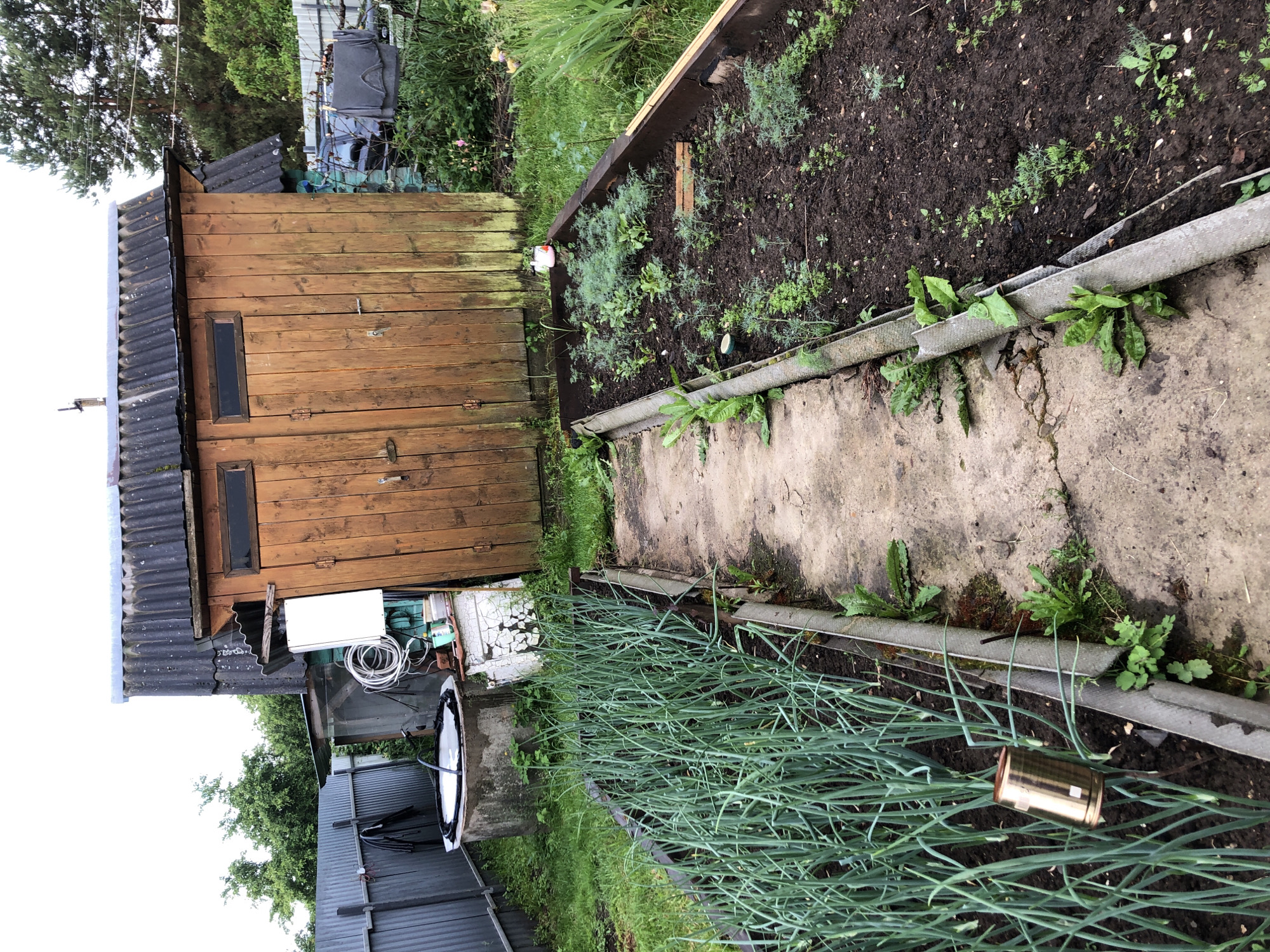 This is a ground-level outdoor, eye-level shot of a garden plot in Zhukovo, Russia. In the foreground, a raised garden bed is filled with young green onions. To the right, another raised garden bed contains a variety of small plants, possibly herbs or young vegetables. A dirt path runs between the two garden beds. In the background, a wooden shed with a corrugated metal roof stands to the right. To the left of the shed, a concrete well is partially visible. A metal fence runs along the left side of the frame, separating the garden from other areas. The overall scene depicts a functional, somewhat rustic, garden setting.