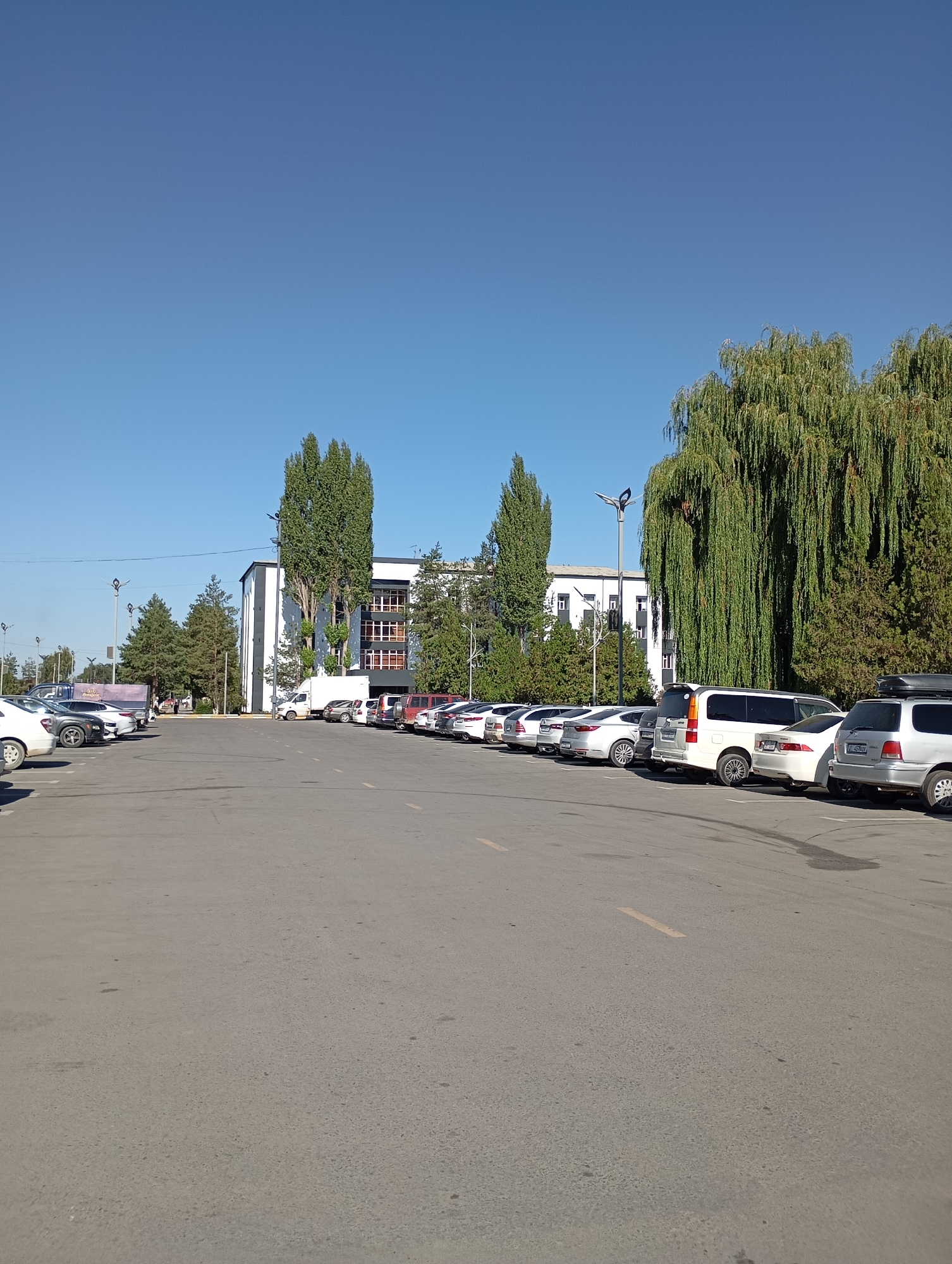 A wide, paved parking lot is occupied by numerous cars parked in rows under a clear blue sky. The lot is bordered on the right by a line of dense, weeping willow trees and various evergreen trees. In the background, a modern, multi-story building with a white facade and dark window frames stands amidst more greenery. A white delivery truck is parked near the building. The overall scene suggests a daytime setting in a city, likely Talas, Kyrgyzstan, characterized by the presence of parked vehicles, a commercial or institutional building, and mature trees.