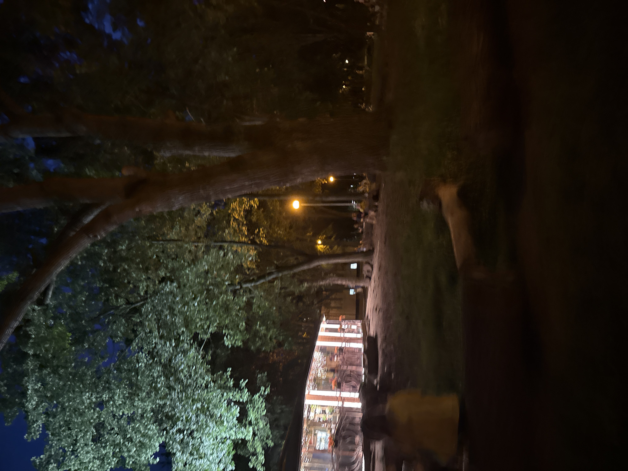 The image depicts an outdoor scene at night, likely a park or recreational area, with a building resembling a pavilion or open-air establishment in the background. The building is illuminated by string lights and vertical fixtures, highlighting its facade and what appear to be tables and chairs inside. Several people are present, some standing and some seated, with one individual in the foreground wearing a yellow garment, mostly out of focus. The environment is characterized by trees with dense foliage, some of which are lit by artificial lights, casting a green glow. Streetlights, emitting a warm orange hue, are visible in the mid-ground and background, illuminating pathways and areas where people are gathered. The ground appears to be covered in grass and dirt, with a fallen log or large branch visible in the foreground. The overall atmosphere suggests a social gathering or dining establishment operating in the evening.