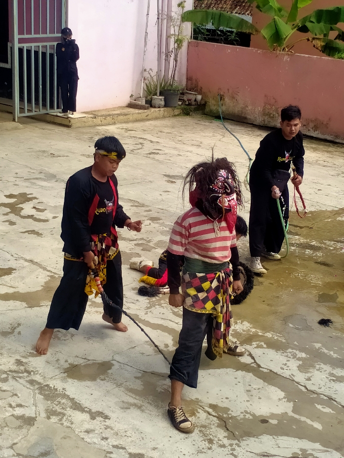 An outdoor scene in a paved courtyard in Tawangsari, Indonesia, depicts a traditional performance or practice involving five individuals during daylight hours.
In the left foreground, a barefoot male, wearing a black and red long-sleeved shirt with a "Kudho Setyo" logo, a yellow and black headband, and a patterned red, black, and yellow sarong, holds a dark, thick rope or whip in his right hand. He faces the center.
Directly in front of him, at the center, is another individual wearing a large, dark, elaborate mask with a prominent red tongue, white teeth, and wild, dark hair. This masked person wears a red and white horizontally striped shirt, dark pants, and a green and yellow checkered sarong. They wear light-colored sneakers and hold the opposite end of the rope connected to the first performer.
To the right and slightly behind the masked individual, a third male, wearing a black "Kudho Setyo" shirt, dark pants, and light-colored sneakers, holds a green hose, spraying water onto the ground, creating wet patches. He also holds a red and yellow whip or rope in his left hand.
Partially obscured and lying on the ground behind the masked performer, a fourth individual is visible, dressed in yellow, red, and black clothing.
In the far left background, a fifth person stands by a light-colored building with a dark metal gate, holding a mobile device as if recording the scene.
The ground is light-colored concrete or pavement with visible cracks and wet areas. The background features a reddish-pink wall with green foliage, possibly banana leaves, overhanging it, and some potted plants near the wall.