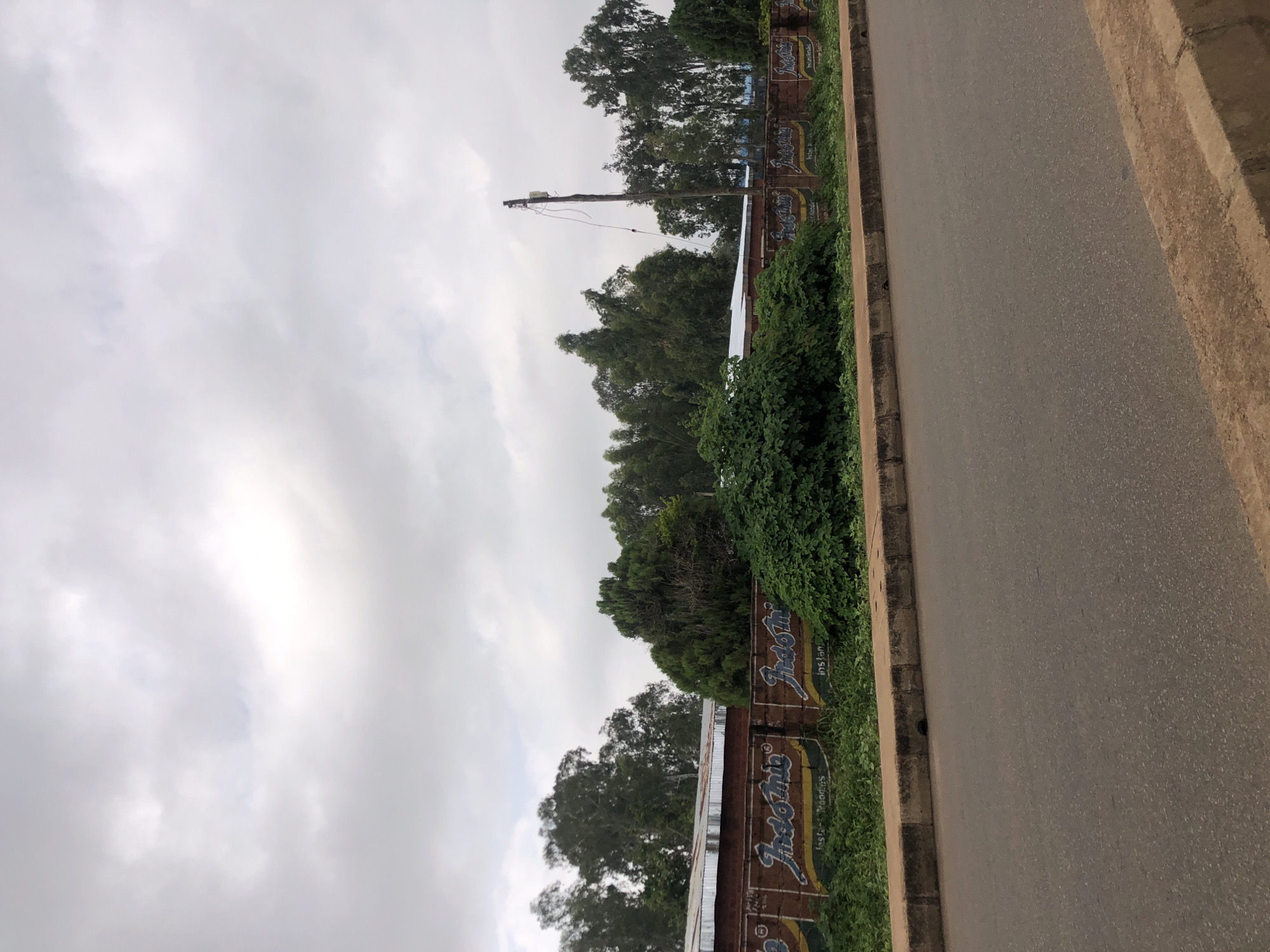 This is a medium shot of a street scene in Jos, Nigeria. In the foreground, there is a paved road and a concrete curb. Behind the curb is a low brick wall with a painted advertisement for "Indomie" instant noodles. The advertisement features the brand logo in blue and yellow. The wall is partially overgrown with green vegetation. Behind the wall, there are trees and some buildings with corrugated metal roofs. A wooden utility pole with wires is visible on the right side of the frame. The sky is overcast with grey clouds. There are no people visible in the image.