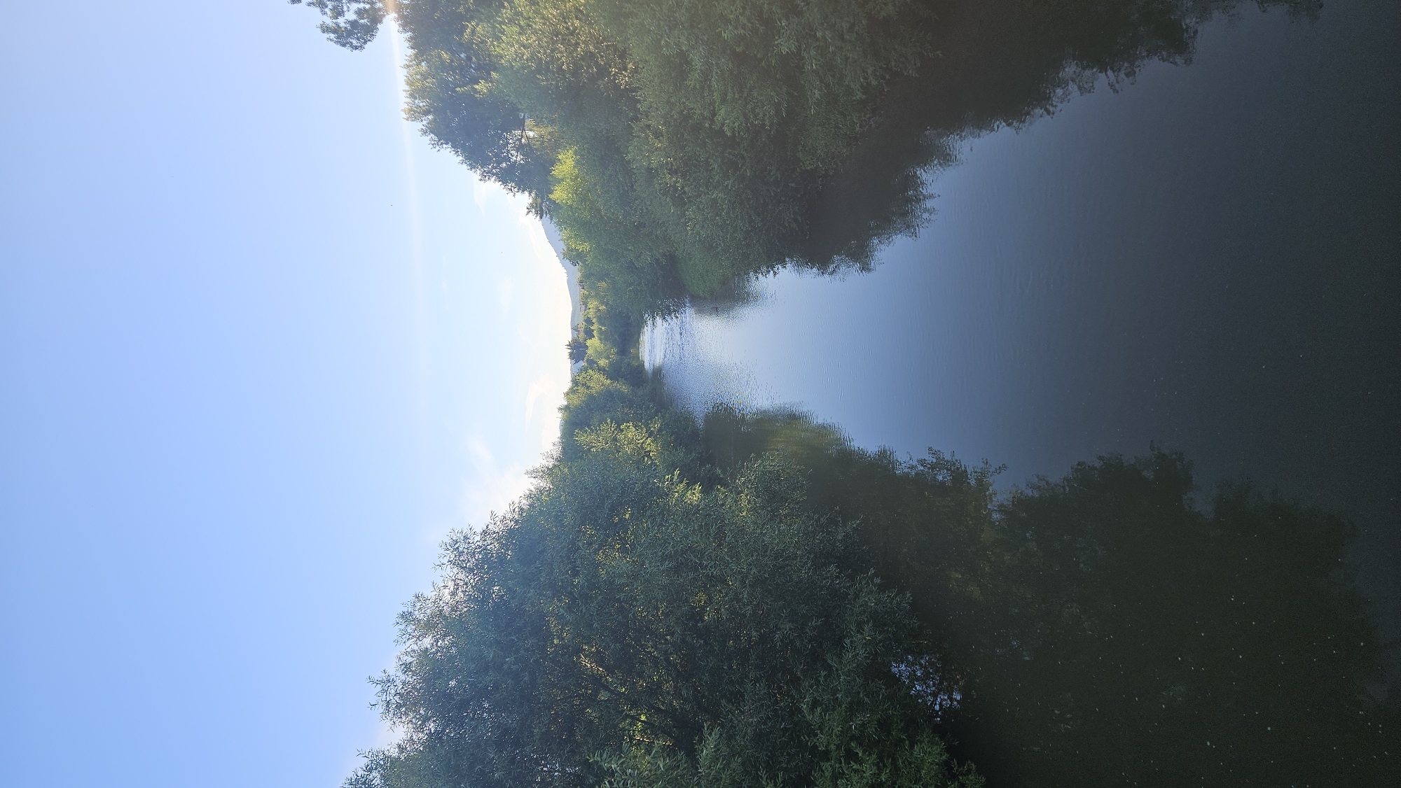 A vertical, eye-level shot captures a tranquil river flowing through a lush, tree-lined landscape under a clear blue sky. The river, reflecting the sky and the surrounding foliage, appears calm with a gentle current visible in the distance. Dense green trees and bushes flank both sides of the river, their branches extending towards the water. In the background, distant hills or mountains are visible beneath the expansive sky. The lighting suggests it is either early morning or late afternoon, with the sun casting a warm glow on the scene. There are no people or animals visible in the image. The scene depicts a serene natural environment, possibly a park or a rural area on the outskirts of a city. The location is on the Torysa River in Prešov, Slovakia, a picturesque area that offers opportunities for outdoor recreation and appreciation of nature.