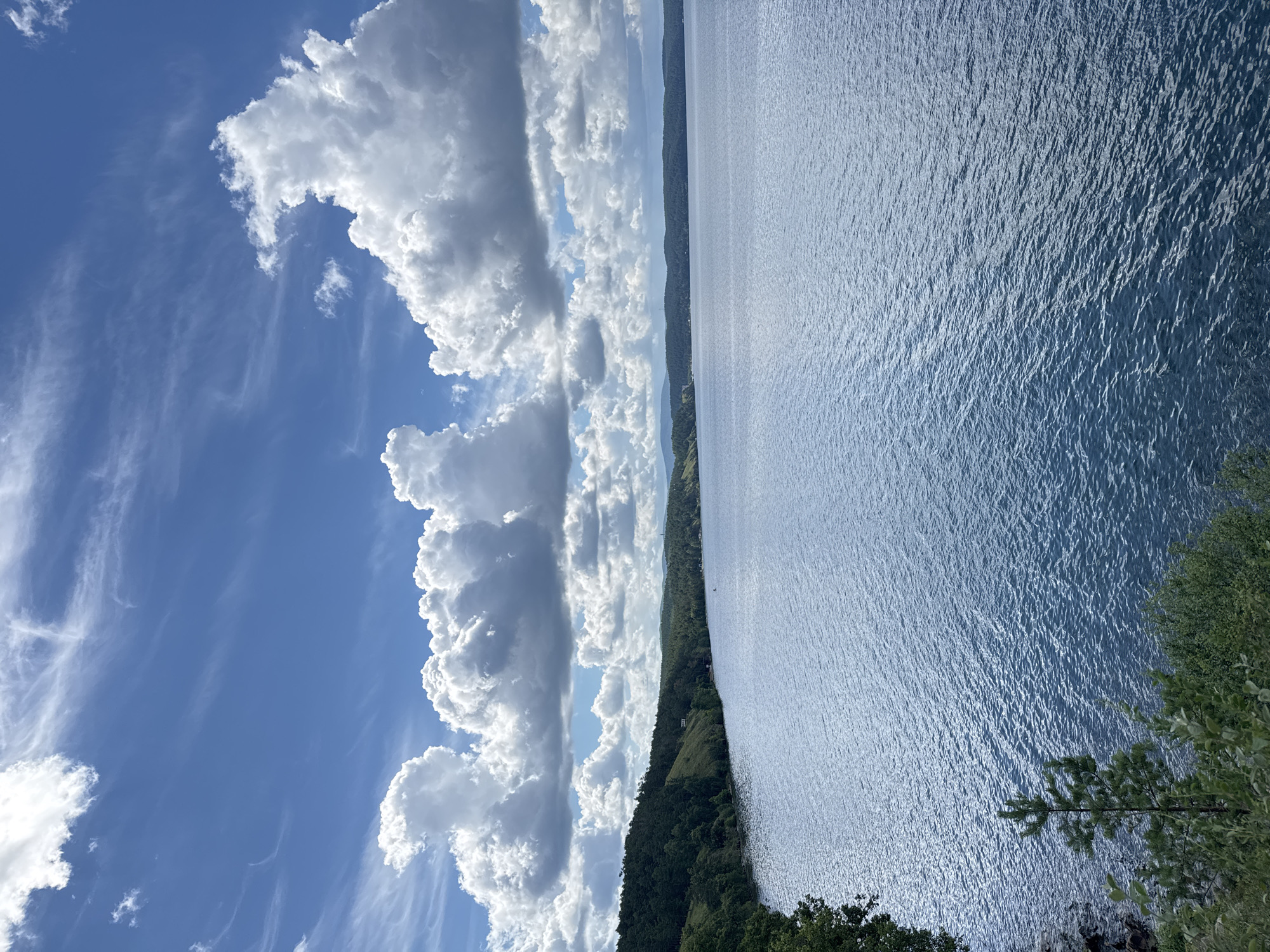 The image depicts a serene, wide body of water, likely a lake or reservoir, with a distant, tree-covered shoreline under a bright blue sky filled with dramatic white cumulus clouds and wispy cirrus formations. The water's surface is gently rippled, reflecting the sky's light and creating a textured, shimmering effect. The left side of the frame features a rocky, vegetated bank with a small evergreen sapling in the foreground. The shoreline stretches across the mid-ground, densely populated with evergreen trees that form a natural, rolling landscape. In the far distance, a faint hazy line of hills can be seen, suggesting a vast, open environment. There are no people or visible man-made structures in the immediate foreground or on the water. The overall impression is one of natural beauty and tranquility, consistent with a location like Dom Otdykha Zolotoy Plyazh, Russia, known for its natural landscapes.