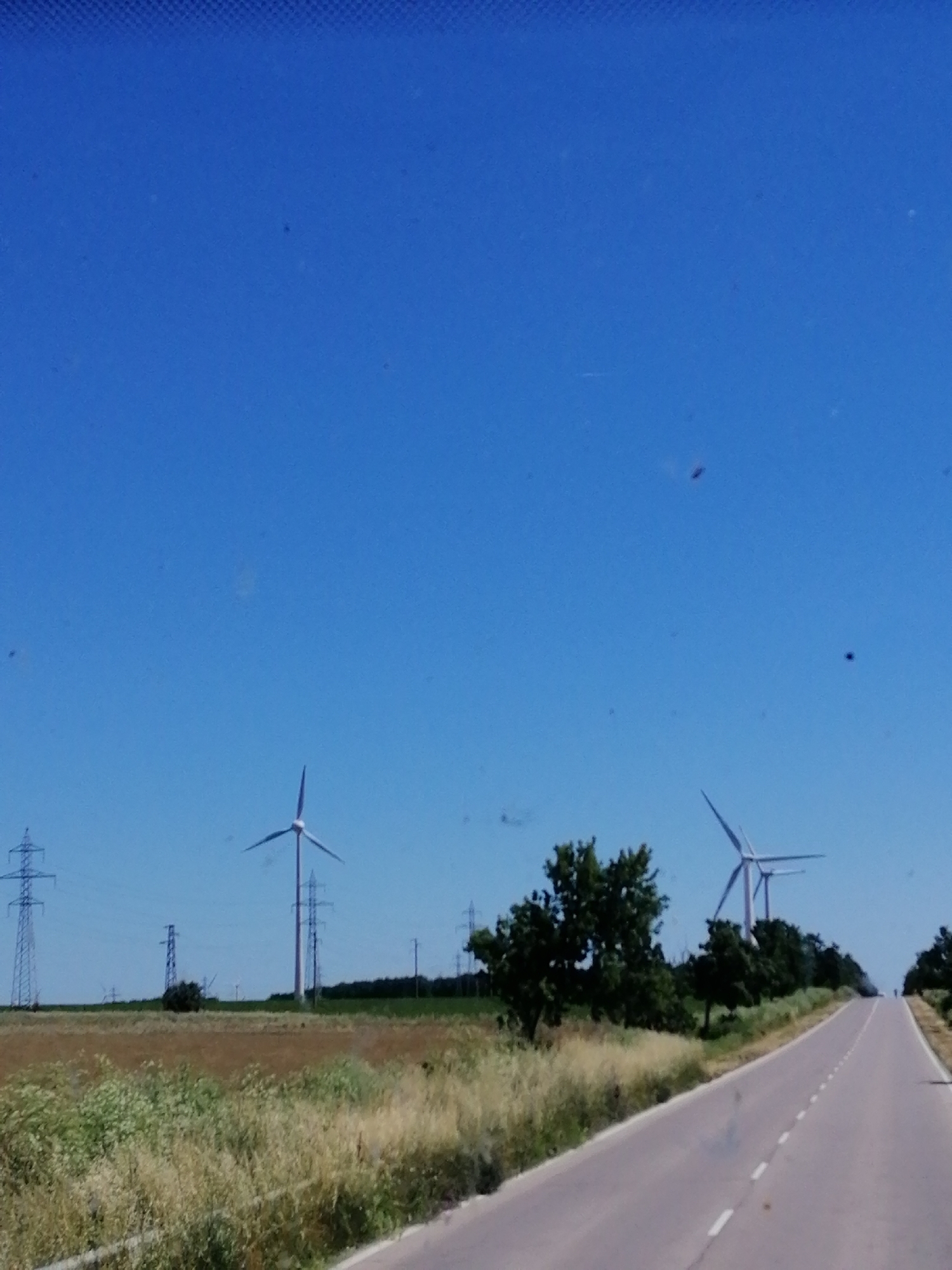 The image depicts a landscape scene with a road in the foreground. The road appears to be paved and has white dashed lines marking the lanes. To the left of the road, there is a field of tall grass and vegetation. In the background, there are several wind turbines, power lines, and trees. The sky is clear and blue. The scene appears to be a rural or semi-rural area, possibly a countryside.