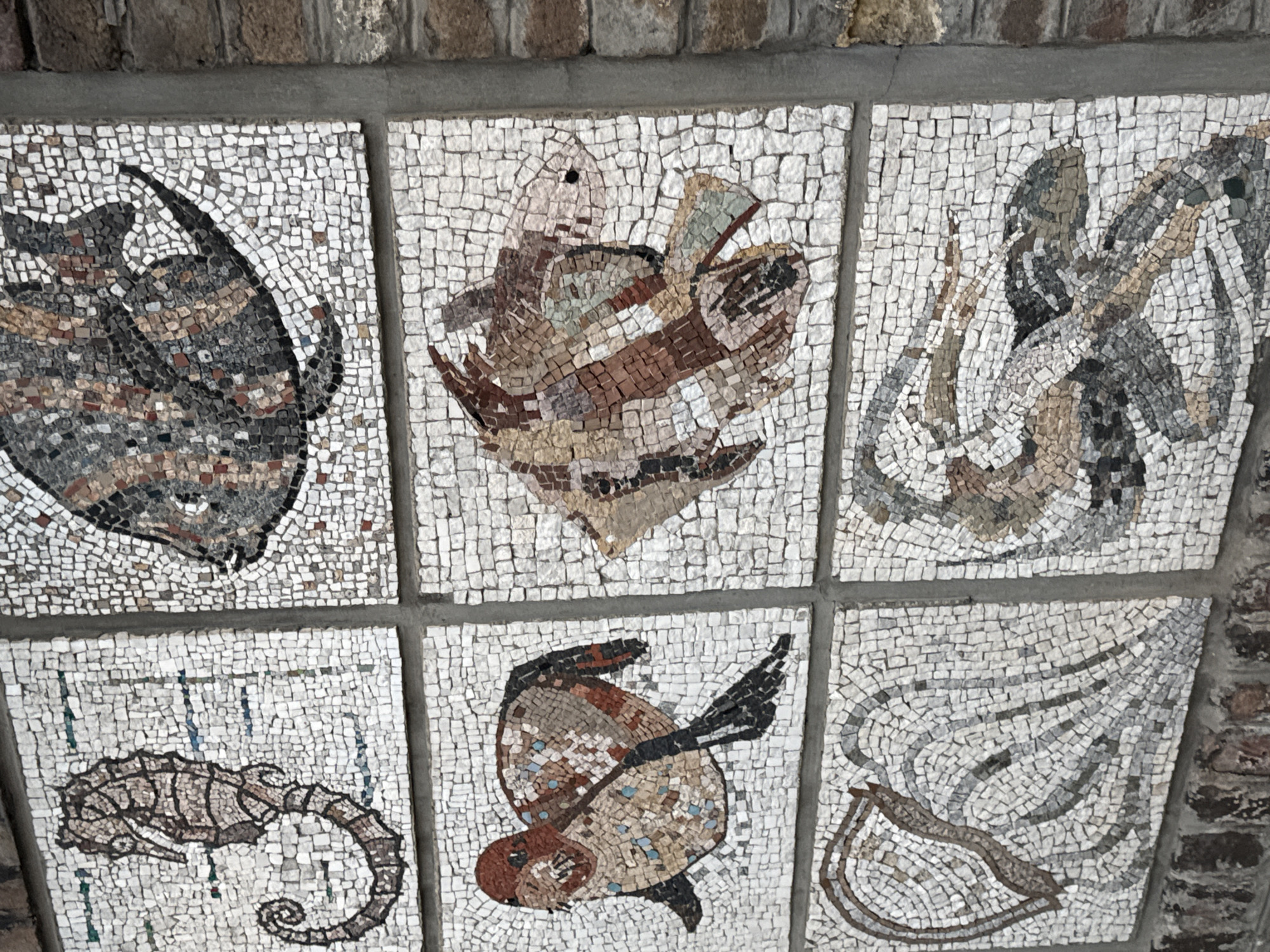 The image shows a mosaic wall featuring six distinct panels, each depicting a sea creature. The panels are arranged in a 2x3 grid, separated by gray grout. The creatures depicted are, from left to right and top to bottom: a ray, a fish with open mouth, a shrimp, a seahorse, a fish, and a scallop. The mosaics are made of small, irregularly shaped tiles in shades of white, gray, brown, and black. The mosaic wall is part of the mosaics at the Pioneer Park in Belgrade, Serbia. The upper and right sides of the wall are partially framed by brick.