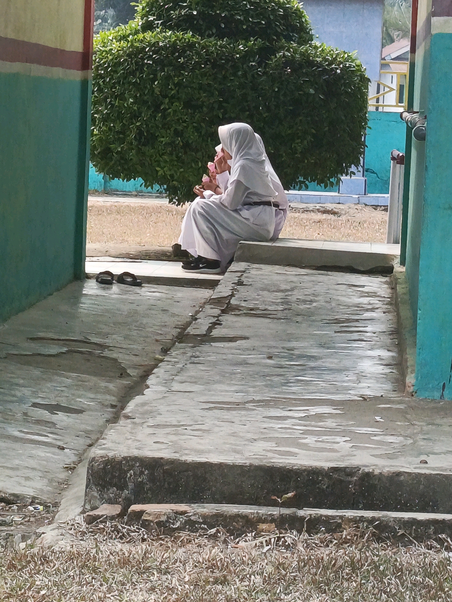 The image depicts a section of a school or institutional setting in Wonosari, Indonesia. Two individuals, appearing to be students due to their white uniforms and headscarves, are seated side-by-side on a concrete ledge. The individual on the left is partially obscured, while the individual on the right is looking down, possibly at something in their hands. Their clothing suggests they are participating in a formal or religious activity.
The environment is an outdoor area with a weathered concrete walkway that shows signs of wear and has puddles from recent rain or cleaning. To the left and right of the walkway are structures with walls painted in distinct colors, green and yellow/brown stripes on the left, and teal on the right. Behind the concrete ledge, a large, dense green bush or tree dominates the background. Further behind the greenery, parts of buildings and a fence are visible, suggesting a larger compound. A pair of dark-colored sandals are placed on the concrete near the seated individuals. The ground in the foreground is covered with dry grass and some sparse greenery. The overall impression is of a quiet, possibly break time or resting period within the school grounds.