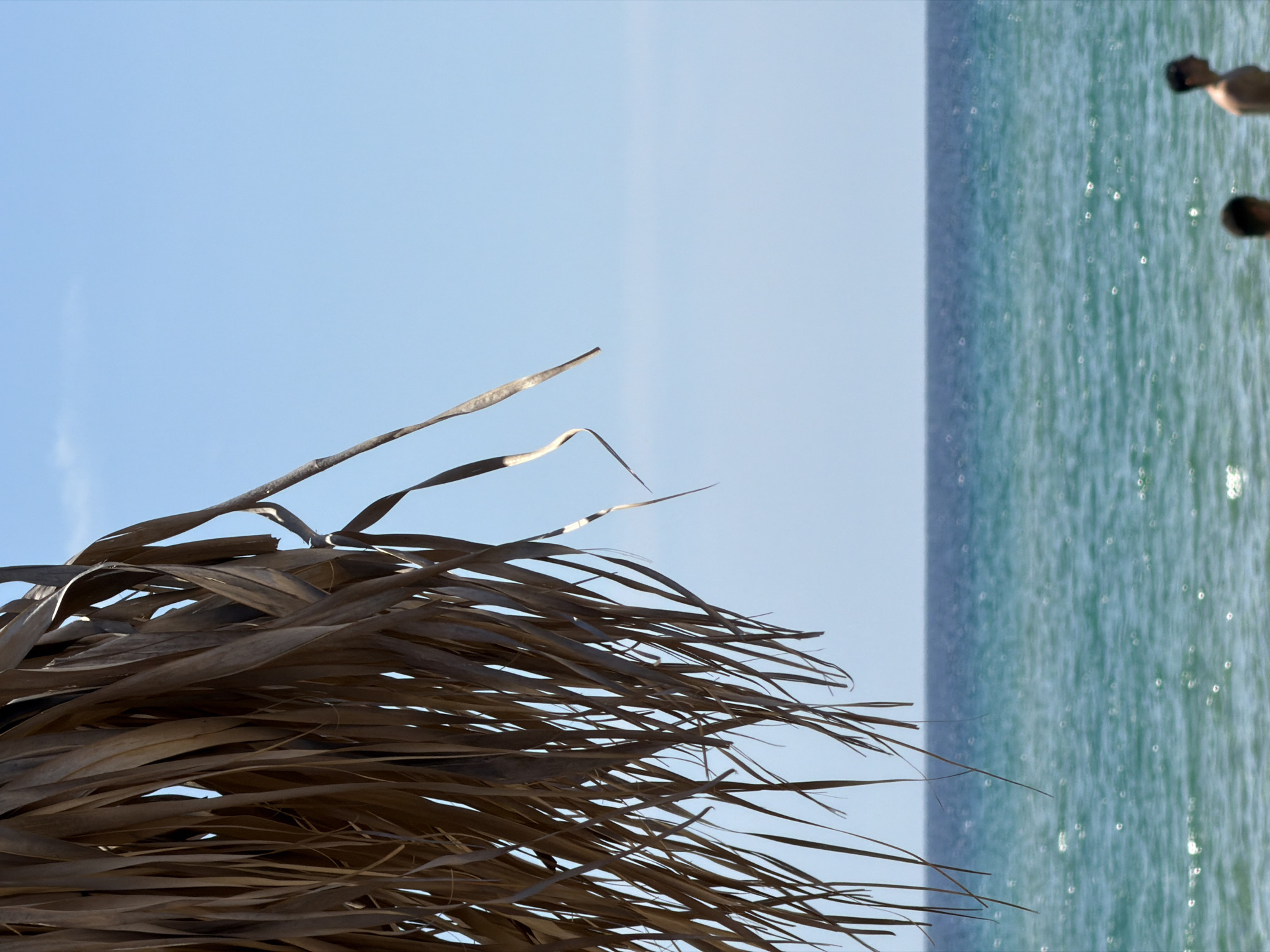 The image shows a beach scene in Nea Peramos, Greece. The foreground features dried palm leaves, with the sky and sea visible in the background. The sea is a turquoise color with sunlight reflecting on the surface. Two people can be seen swimming in the water.