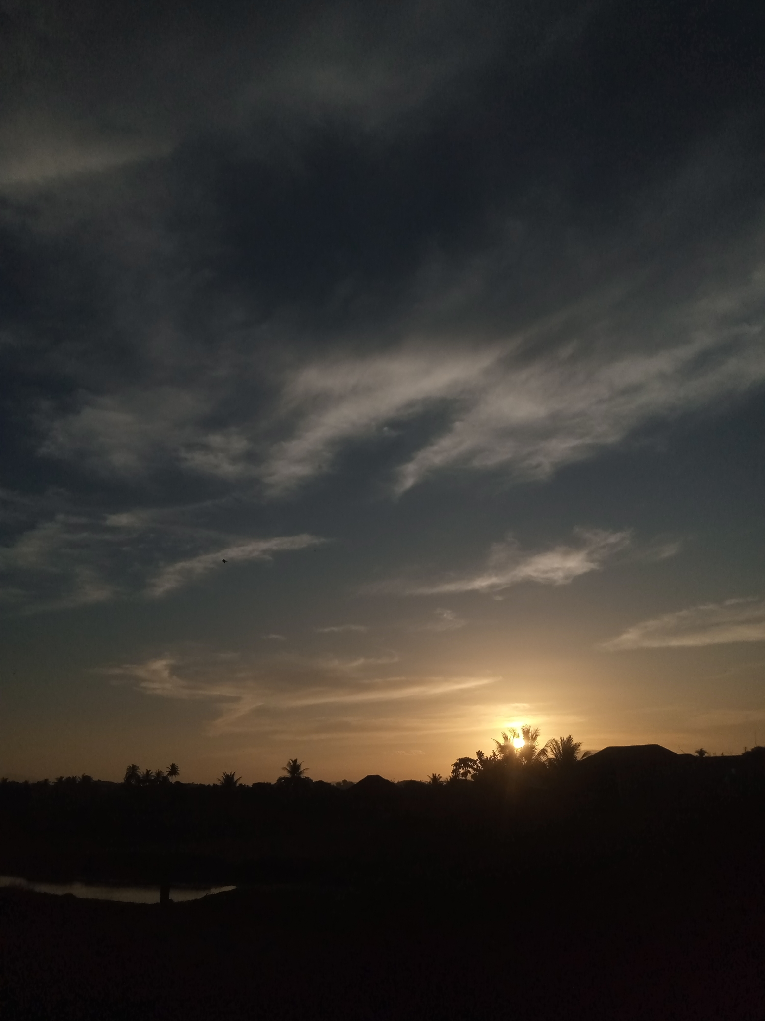 A low-angle, full shot captures a silhouetted landscape during a sunset in Unknown, Unknown. The sky is a gradient of dark blue at the top, transitioning to a warm orange and yellow near the horizon. Wispy, white clouds are scattered across the sky, with a few darker clouds creating depth. In the lower half of the frame, the dark silhouettes of palm trees, buildings, and vegetation are visible against the bright sky. A small body of water, possibly a pond or a section of a river, is in the foreground, reflecting the sky. The sun is setting behind a cluster of palm trees, casting rays of light through the fronds. The overall mood is serene and tranquil.