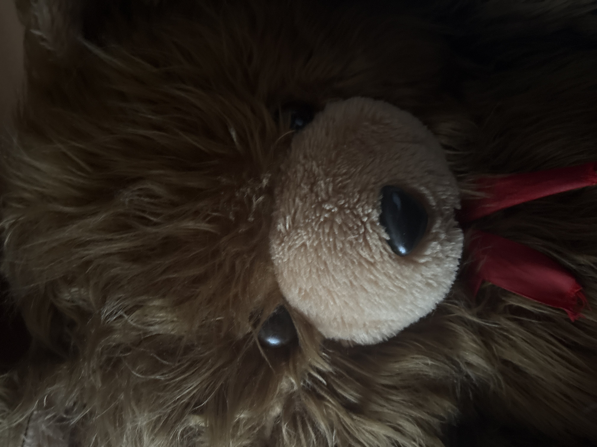 The image presents a close-up, slightly rotated view of a plush toy, likely a teddy bear or a similar furry animal, seen from a high angle. The dominant feature is the toy's face, characterized by shaggy, medium to dark brown fur, with lighter, possibly blonde or tan strands interspersed.
Two prominent, dark, and shiny oval-shaped eyes are visible, reflecting a subtle highlight that suggests a nearby light source. A lighter, beige or tan-colored, fuzzy snout or muzzle area is centrally located on the toy's face, appearing round and soft. To the right side of this snout, two elements resembling folded red ribbons or petals are partially visible, adding a splash of color to the otherwise earthy tones.
The background is largely dark and indistinct, suggesting either very dim lighting or a shallow depth of field that keeps the focus entirely on the plush toy. The overall lighting is low, creating soft shadows and a slightly subdued, intimate atmosphere. No specific activity is taking place; the toy appears to be stationary. There is no visible text in the image.