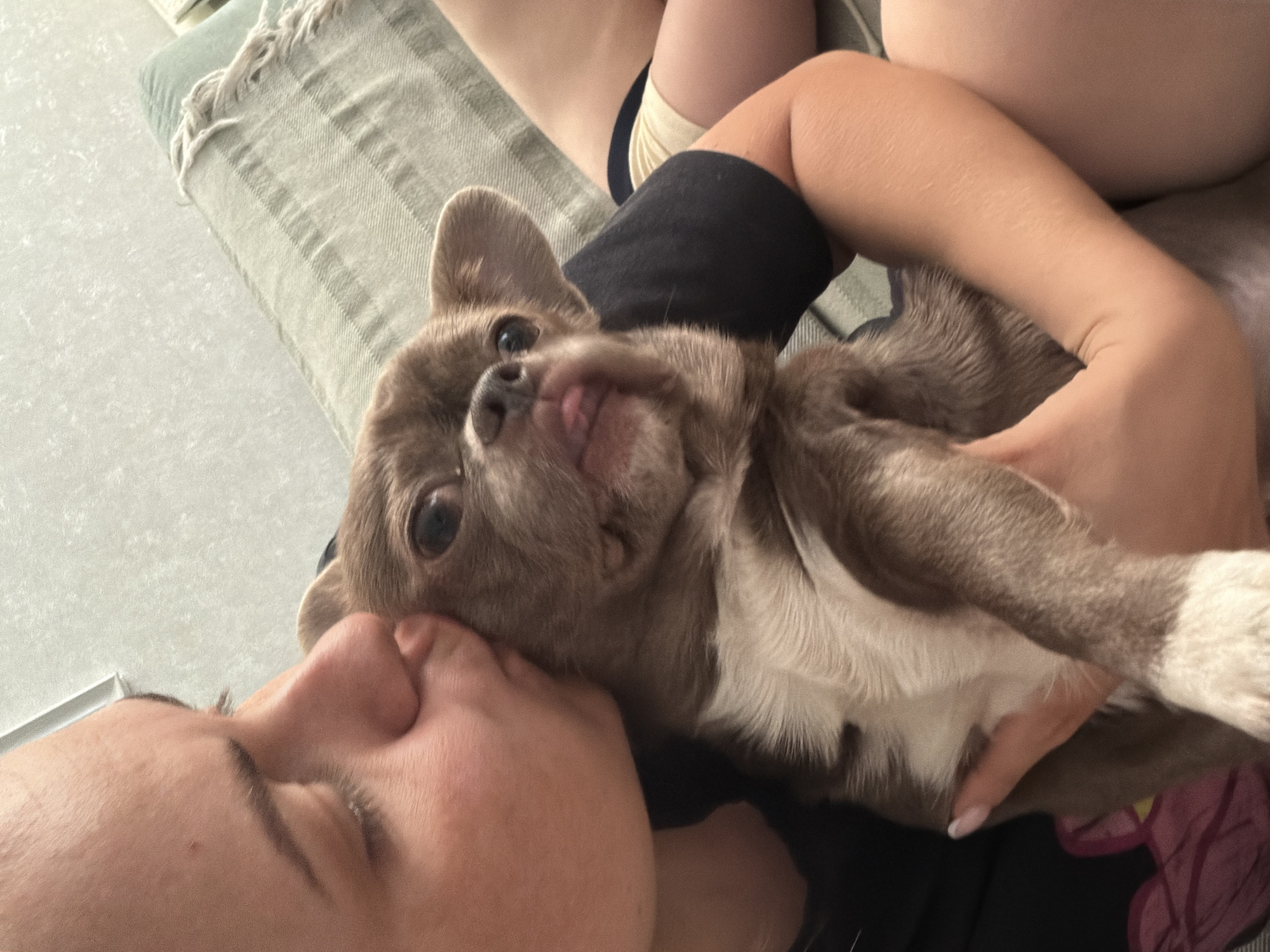 A close-up shot shows a person kissing a small brown and white dog. The dog is held in the person's arms, and the person's face is close to the dog's head. Other areas visible include bedding with a tasseled blanket, plus another person's lap. The location is unknown and there is no indication of the city of Votkinsk, Russia.