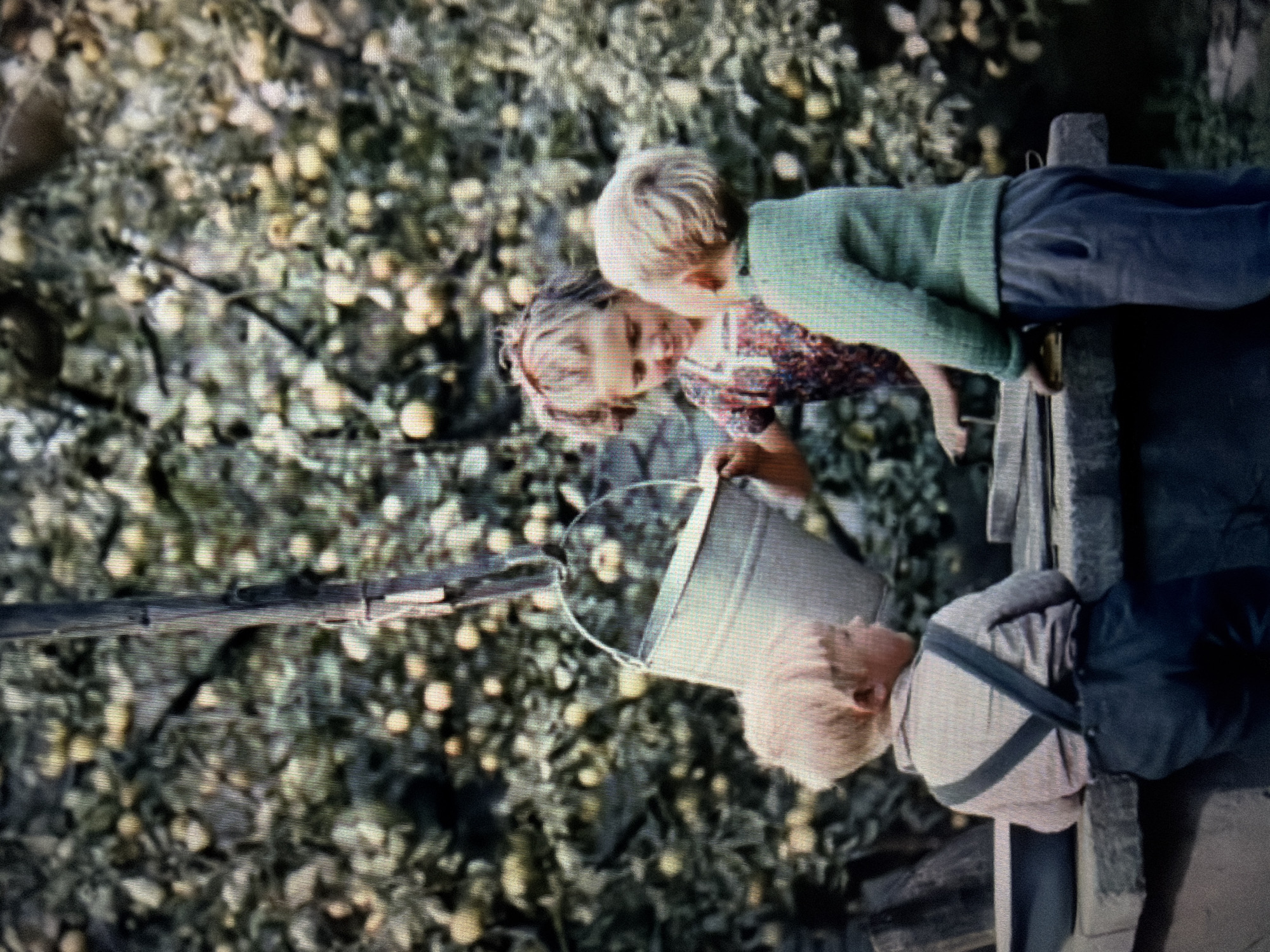 In an outdoor setting with a backdrop of a dense leafy tree laden with light-colored fruit, three children are gathered around a stone structure, possibly a well. A young girl with blonde hair tied with a red ribbon, wearing a floral print dress, is actively engaged in the scene, her gaze directed downwards. To her right, a boy with blonde hair, wearing a green knitted sweater and grey pants, stands facing away from the viewer, his hands resting on the stone. To the left, another young boy with blonde hair, wearing a light-colored shirt with dark suspenders and dark pants, also faces away, looking towards the stone structure. A metallic bucket is suspended from a wooden post by a rope, with its handle extended. The stone structure appears to have a trough or basin on its left side. The overall impression is of a rural or semi-rural environment, suggesting a day of play or chores involving the well. The image quality is somewhat grainy, indicating it may be an older photograph.