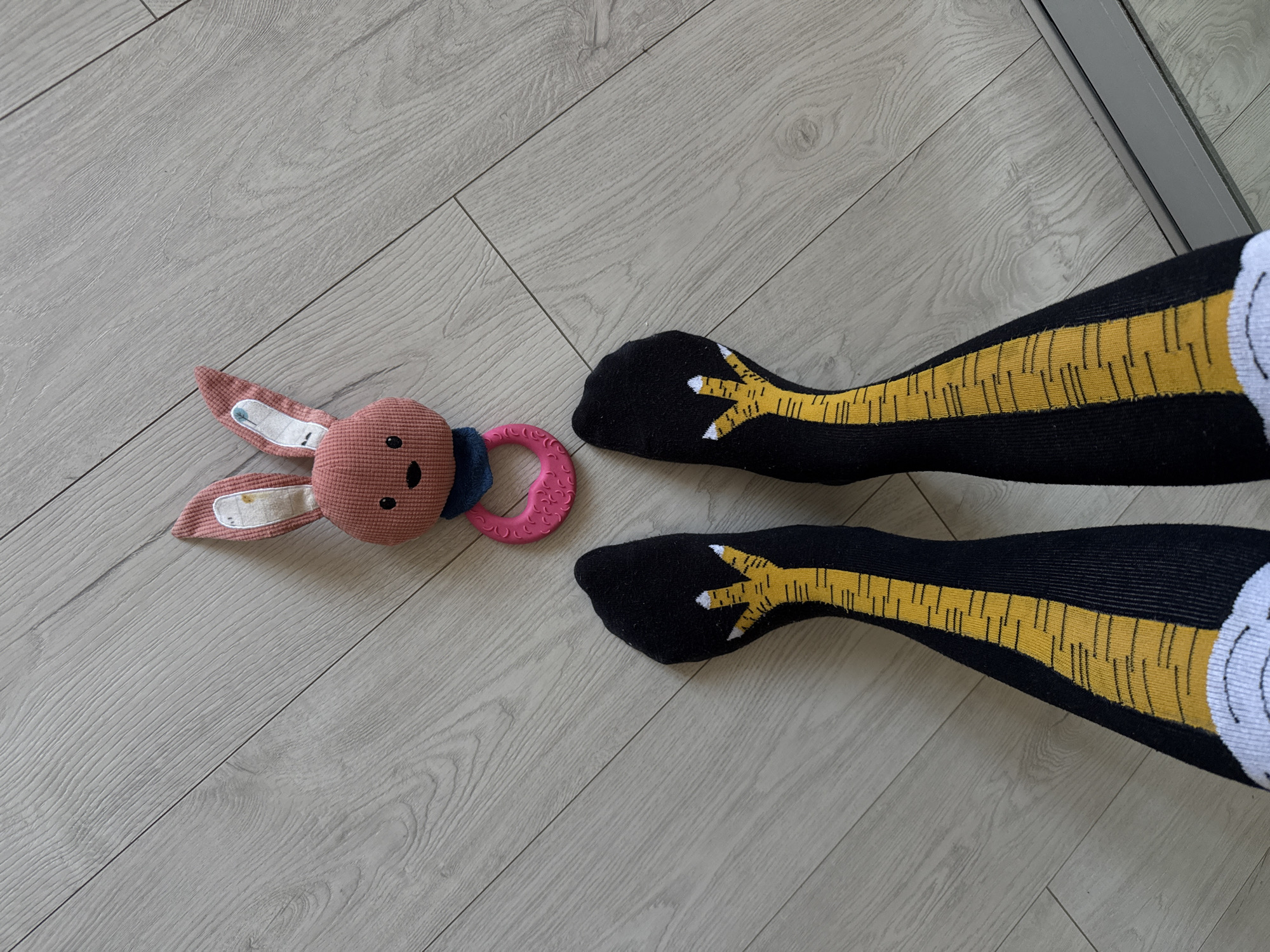 The image shows a pair of black socks with a chicken leg pattern on a wooden floor. A pink rabbit toy is positioned above the socks. The scene is indoors and does not provide any information about the city of Volgograd, Russia.