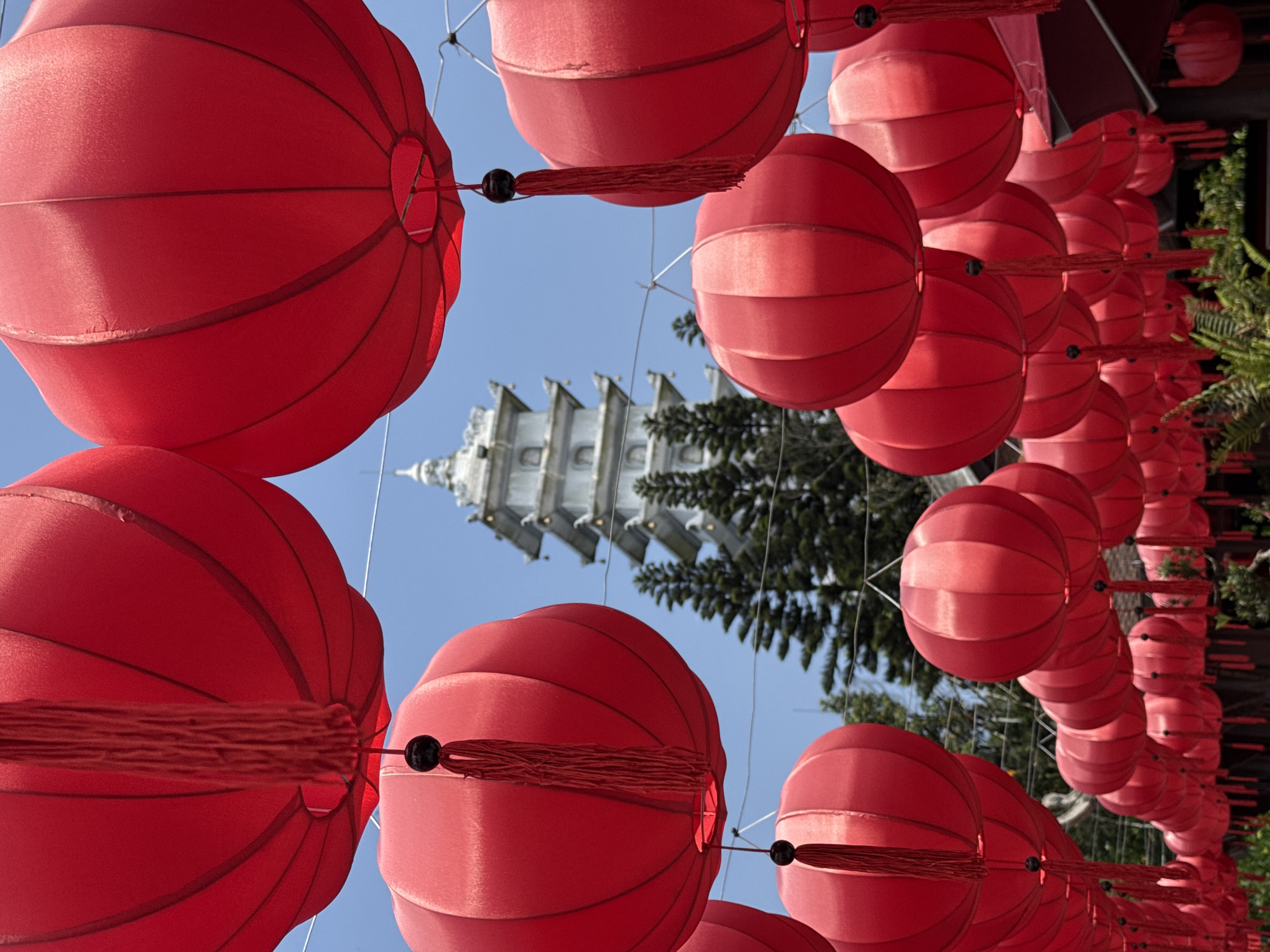 The image showcases rows of red Chinese lanterns strung across a space, leading the eye towards a white pagoda-style structure in the distance. The sky is a clear blue, visible through gaps in the lanterns. A few green trees are visible behind the pagoda. The image was likely taken in Đà Nẵng, Vietnam, given the presence of the pagoda.