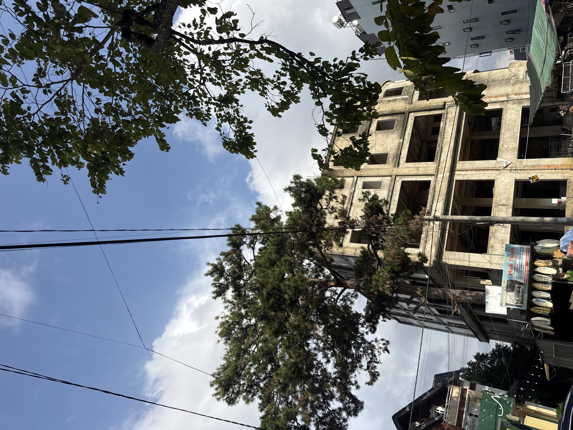 The image, captured from a low-angle perspective, looks upwards towards a bright blue sky with scattered white clouds, framed by urban infrastructure and natural elements. Several black power lines crisscross the frame, particularly prominent in the lower and central left.
In the foreground and mid-ground, two large trees dominate the view. A broad-leaved tree with dark green foliage partially obscures the upper-left and upper-right sky. Towards the center-left, a large, dense coniferous tree, likely a pine, stands prominently with its dark green needles.
On the right side of the image, a multi-story concrete building appears to be unfinished or undergoing renovation. Its weathered, light grey facade shows multiple empty window and door frames, revealing the internal structure. Above this, a lighter blue-grey building with more defined windows is partially visible against the sky.
Attached vertically to the concrete building on the right is a large advertisement sign. The most prominent text at the top reads "Minh Thanh" in blue letters. Below this, images of furniture, resembling mattresses or sofas, are displayed, accompanied by smaller, partially legible brand names such as "MAXIMUM" and "LIÊN A". Below the concrete structure and the pine tree, portions of other buildings and what appear to be stacked goods, possibly more mattresses or cushions, are visible, suggesting a commercial area.
The scene depicts a daytime setting with fair weather, capturing a blend of urban development and natural green spaces, consistent with an environment found in Lâm Viên - Đà Lạt, Vietnam. No people or specific activities are visible, presenting a static view of the environment.