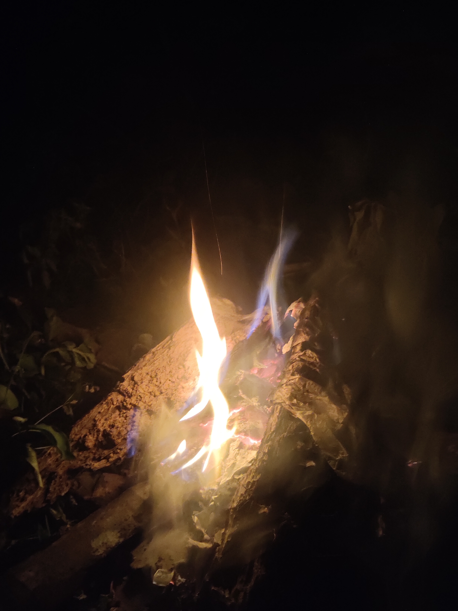 A campfire burns in the darkness, illuminating logs and smoke. Flames, tinged with blue and white, flicker upward. The scene is set outdoors, likely in a natural environment. The surrounding area appears to be a forest or wooded area, with hints of foliage and branches visible in the low light. The overall impression is one of a secluded, nighttime setting. The location is identified as Nga, Indonesia.