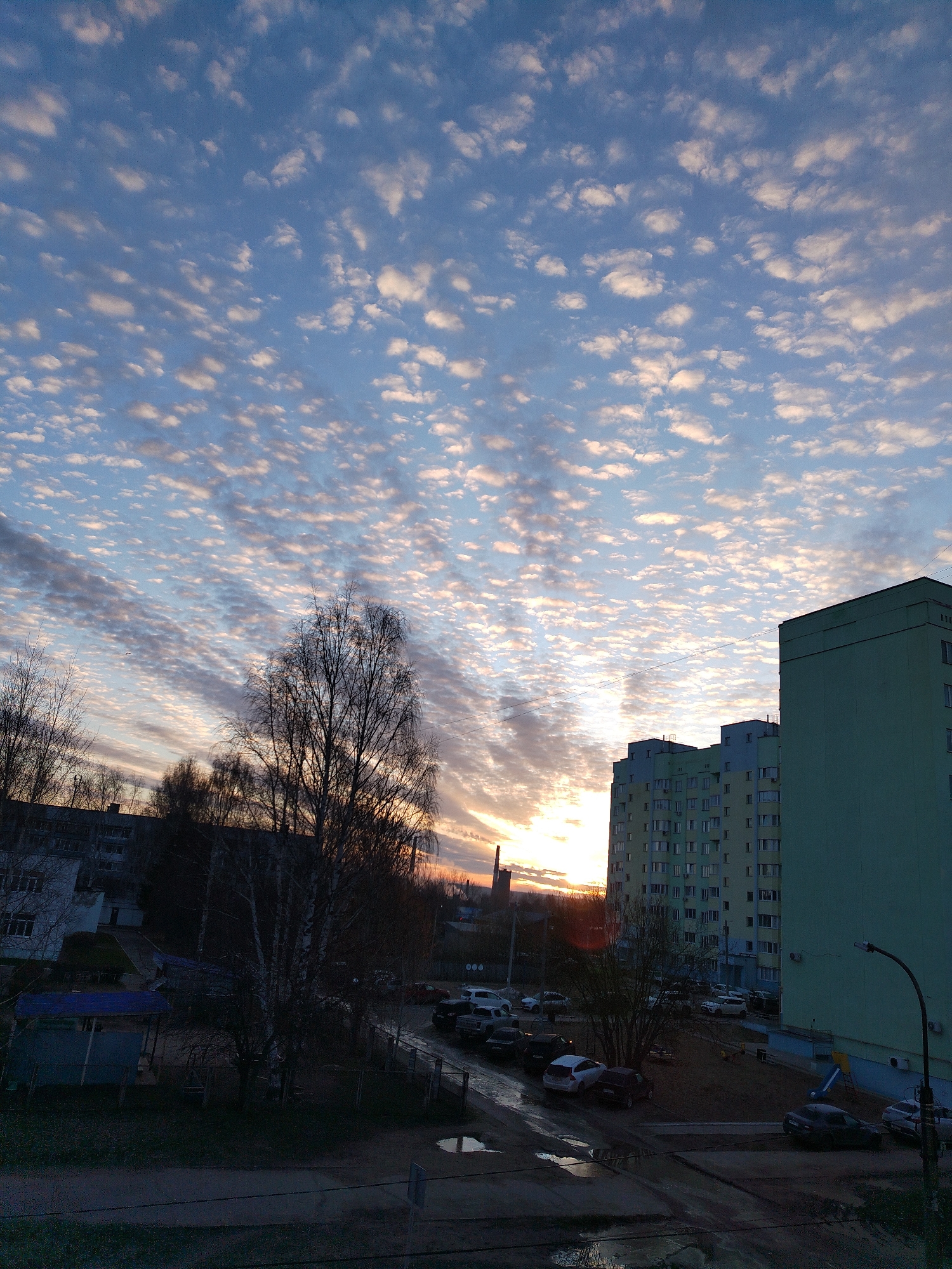 The image shows a cityscape at dawn or dusk. The sky is filled with altocumulus clouds, reflecting the colors of the rising or setting sun. In the foreground, there is a view of buildings and bare trees, a parking area with parked cars, and a street with puddles. The architecture suggests an urban residential area. The presence of parking and buildings indicate this is a populated location, potentially within a city.
