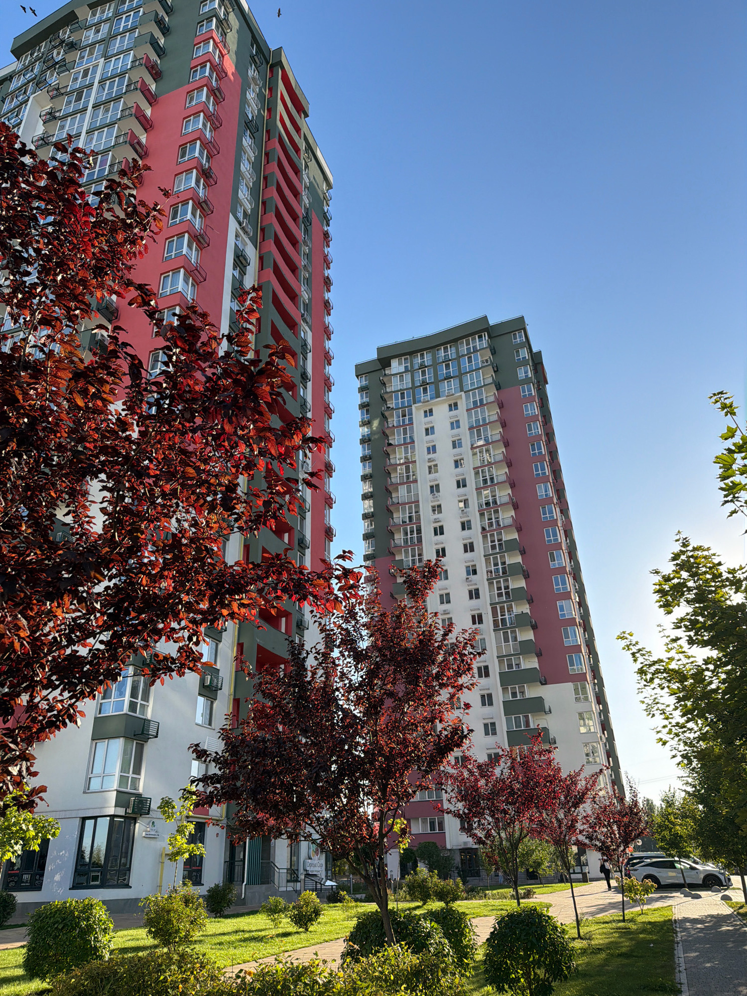 The image depicts two modern, high-rise apartment buildings with a distinctive color scheme of red, white, and green. The building on the left is closer to the foreground and features a larger section of red on its facade. The building on the right is slightly further back and appears to have a more uniform distribution of colors. Both buildings have numerous windows and balconies. In the foreground, several trees with deep red foliage are prominent, their branches partially obscuring the lower sections of the left building. Lush green grass and manicured bushes form a landscaped area in front of the buildings, suggesting a well-maintained urban environment. A paved walkway runs alongside the grass, and a few white cars are parked on the right side of the walkway. The sky is a clear, bright blue. Two birds are visible in the sky above the left building. The overall scene suggests a residential complex in a city.
Based on the architectural style, the presence of red-leaved ornamental trees common in urban landscaping, and the general aesthetic, this image likely depicts a residential area in the city of Kyiv, Ukraine. Such modern apartment complexes with vibrant facades are a growing feature of the city's urban development.