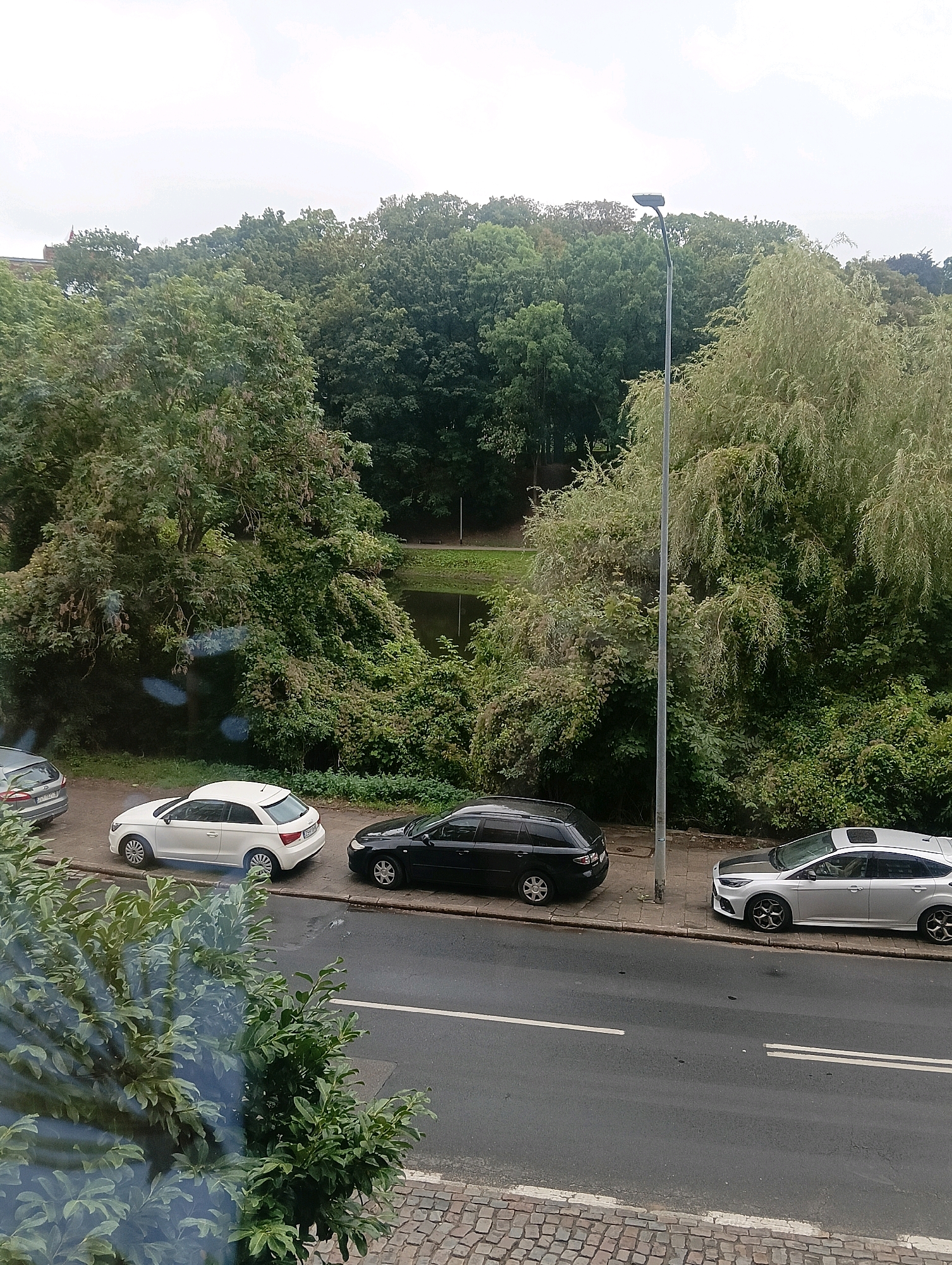 The image depicts a street scene in Szczecin, Poland, with several parked cars lining the road. On the sidewalk, a light-colored Audi A1 is parked next to a dark-colored station wagon. Further down the street, a silver Ford Focus station wagon is parked. The street is paved, and a cobblestone sidewalk runs alongside it.
Behind the parked cars, a dense area of trees and foliage forms a backdrop, suggesting a park or green space. A small pond is visible through the trees, reflecting the overcast sky. A tall streetlamp stands on the sidewalk, its head casting a shadow. The overall atmosphere of the image is calm and uneventful, with no people visible. The lighting suggests it is daytime, likely overcast.