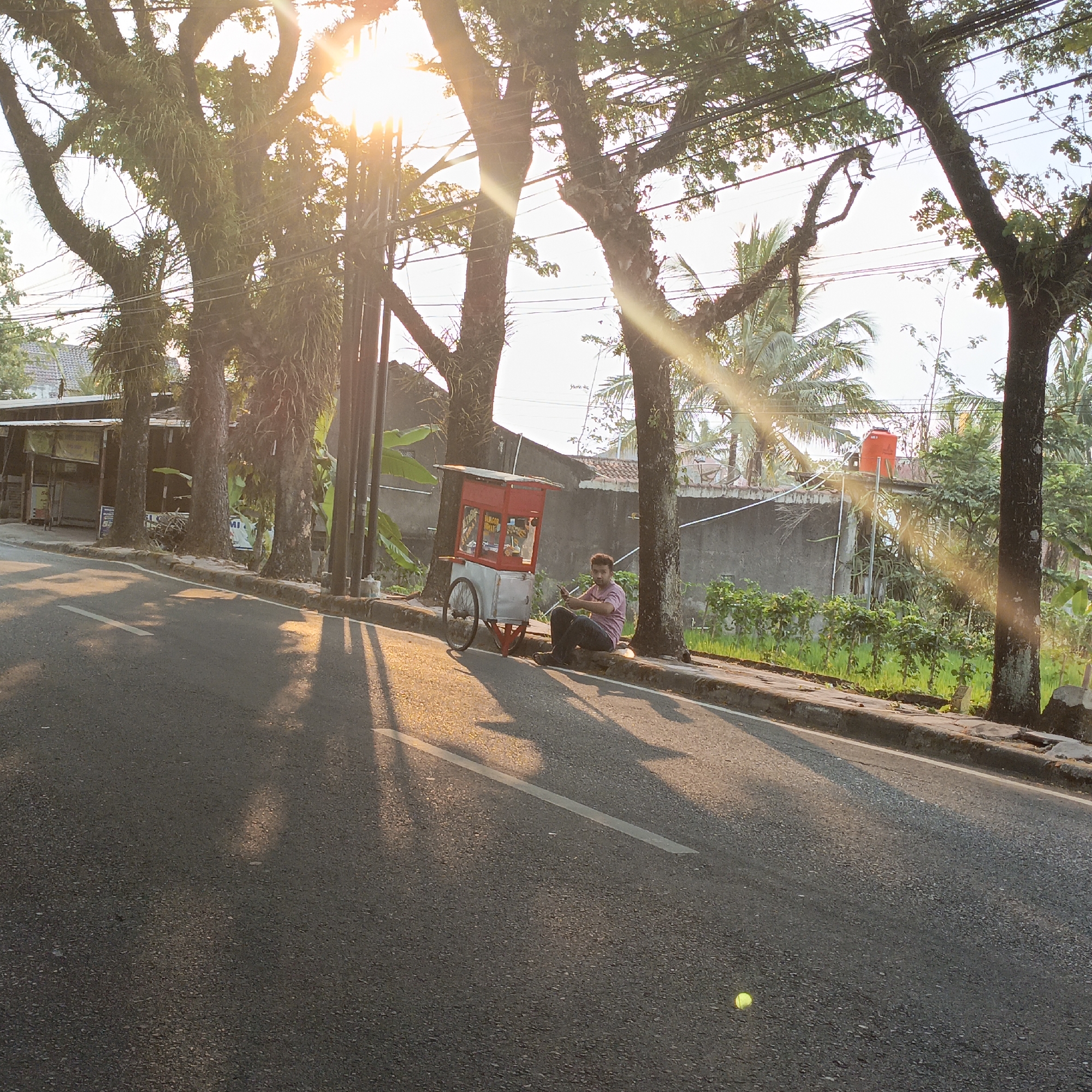 The image depicts a roadside scene bathed in the warm light of the setting sun. A man sits on the curb next to a red and silver food cart, holding a mobile phone. Behind him, the street is lined with large trees, their branches casting long shadows across the asphalt. A white line marks the edge of the road. Further back, a row of buildings can be seen, one with a red water tank on its roof. Lush green vegetation grows along the roadside. A single yellow tennis ball rests on the pavement in the foreground. The overall atmosphere is one of quiet evening activity on a suburban street.