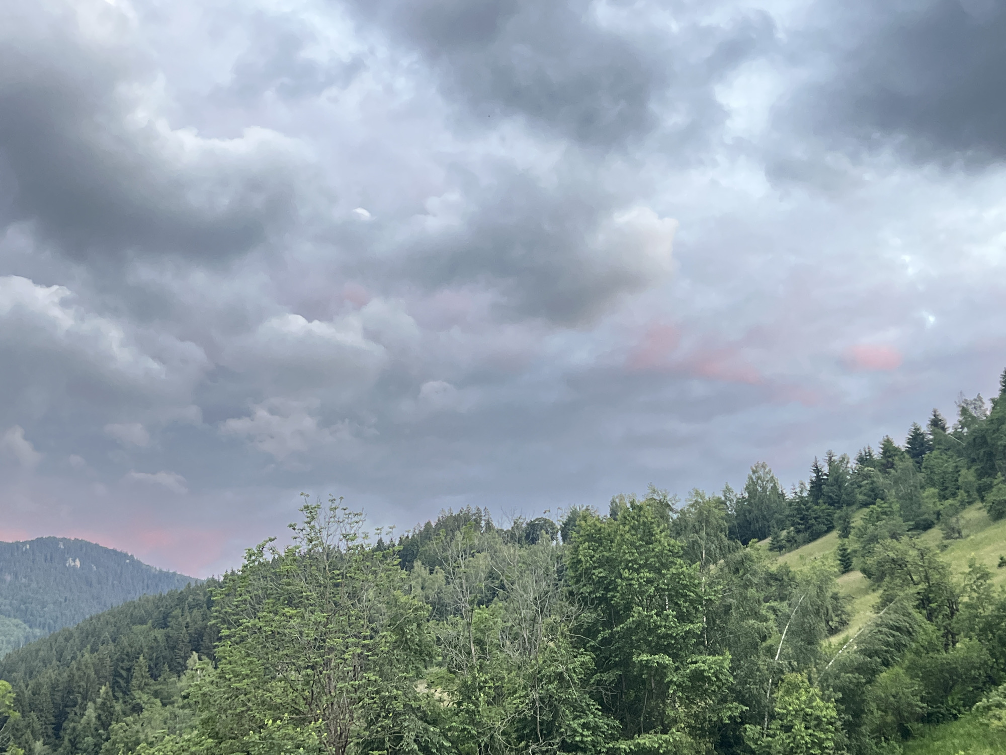 A view of rolling hills covered in lush green trees and foliage is depicted under a cloudy sky. The clouds are a mix of gray and white, with hints of pink and purple suggesting either sunset or sunrise. In the distance, a mountain range is visible, also covered in dense forestation. The foreground is dominated by various types of trees, some with lighter green leaves and others with darker shades. The overall impression is one of a natural landscape, possibly in a mountainous region.
