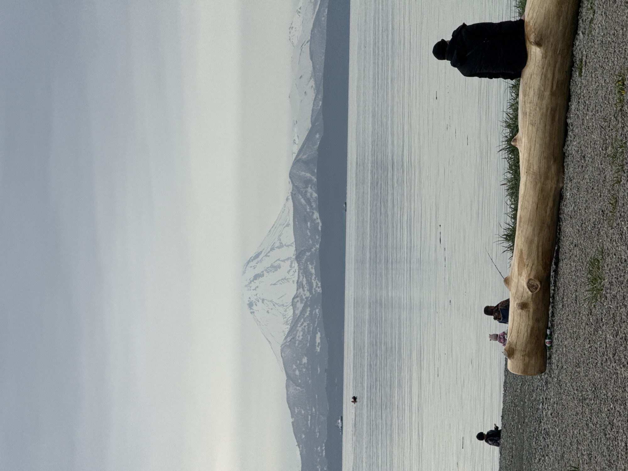 The image depicts a scenic view of Avacha Bay in Petropavlovsk-Kamchatsky, Russia, with the snow-capped peaks of the volcanoes Koryaksky and Avachinsky forming a dramatic backdrop. The foreground is a gravel beach with a large, weathered log prominent in the center. To the right, a person in a black jacket sits on the log, facing away from the camera and towards the water. On the left side of the beach, three figures are gathered near the water's edge. One person, wearing a dark beanie, is looking at their phone. Another figure, a child in a pink hat, is next to an adult who appears to be holding a fishing rod. In the distance, a small red boat with two occupants navigates the calm waters of the bay, and a larger vessel, possibly a ferry, can be seen near the base of the mountains. The sky is overcast, casting a soft, diffused light over the entire scene. The water is a muted gray, reflecting the cloudy sky, and small, scattered pieces of debris are visible on its surface. The overall atmosphere is one of quiet contemplation and natural beauty.