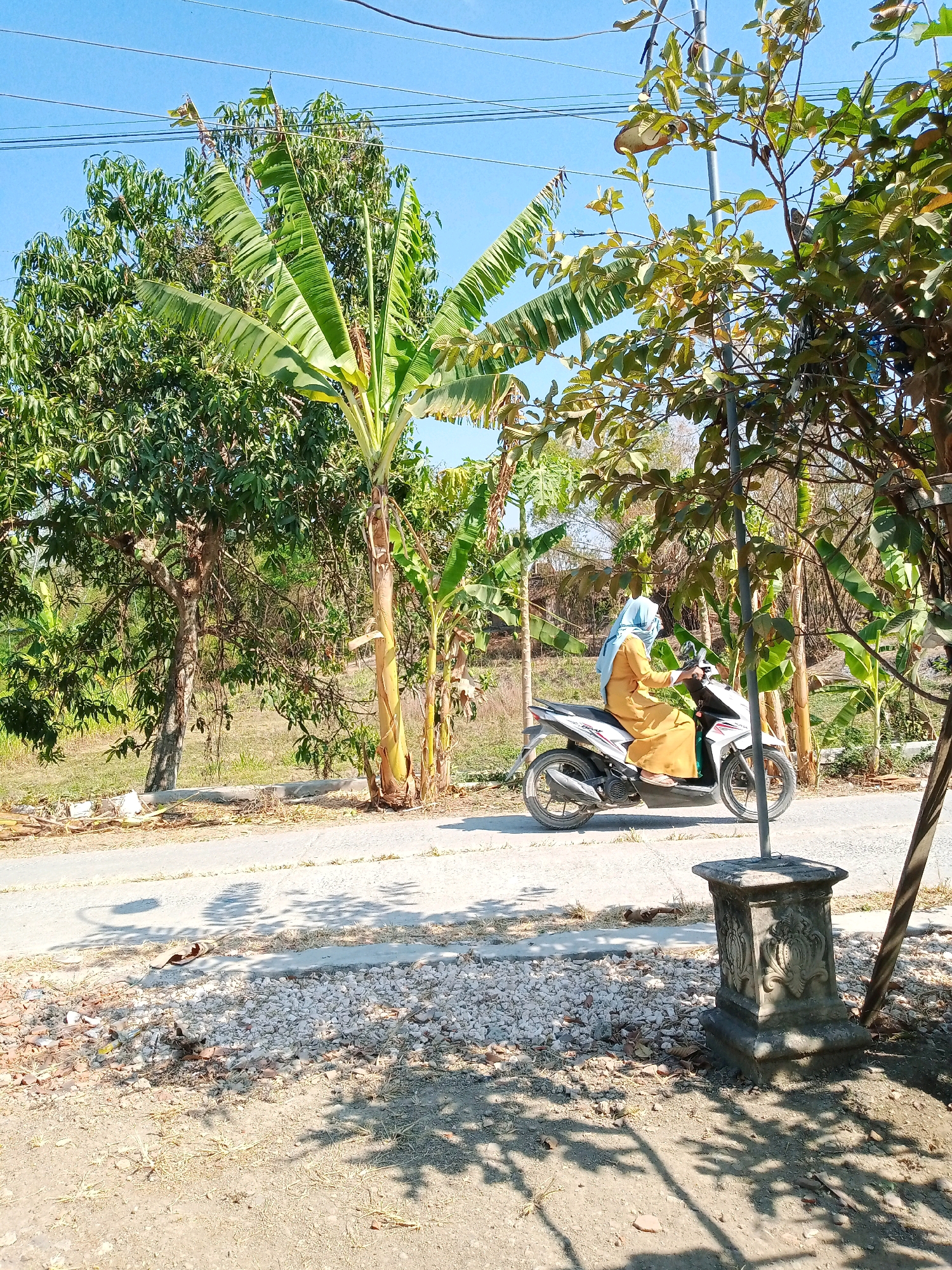 A woman wearing a light blue hijab and an orange dress is riding a white scooter along a paved road. The road is lined with trees, including banana trees, and a grassy area. In the foreground, there is a concrete pedestal with ornate carvings. The scene appears to be a rural or semi-rural area, possibly in Kemiri, Indonesia, given the vegetation and style of dress. The sky is clear and blue, indicating a sunny day.
