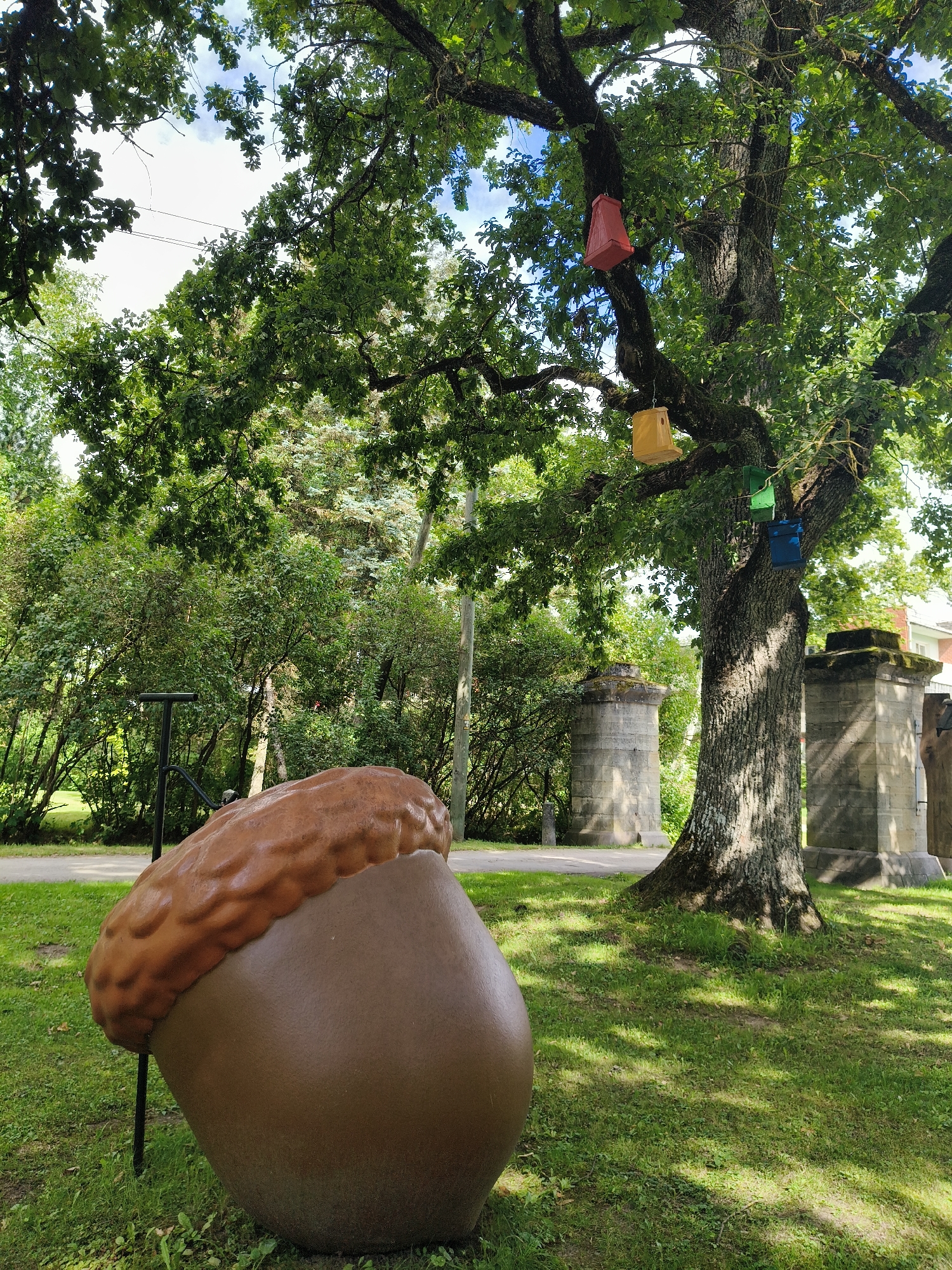 In Koknese, Latvia, a large, brown, acorn-shaped sculpture rests on a grassy lawn in front of a large oak tree. The tree's branches are adorned with four colorful birdhouses: red, yellow, green, and blue. In the background, stone pillars frame a pathway. The sky is bright with scattered clouds.
