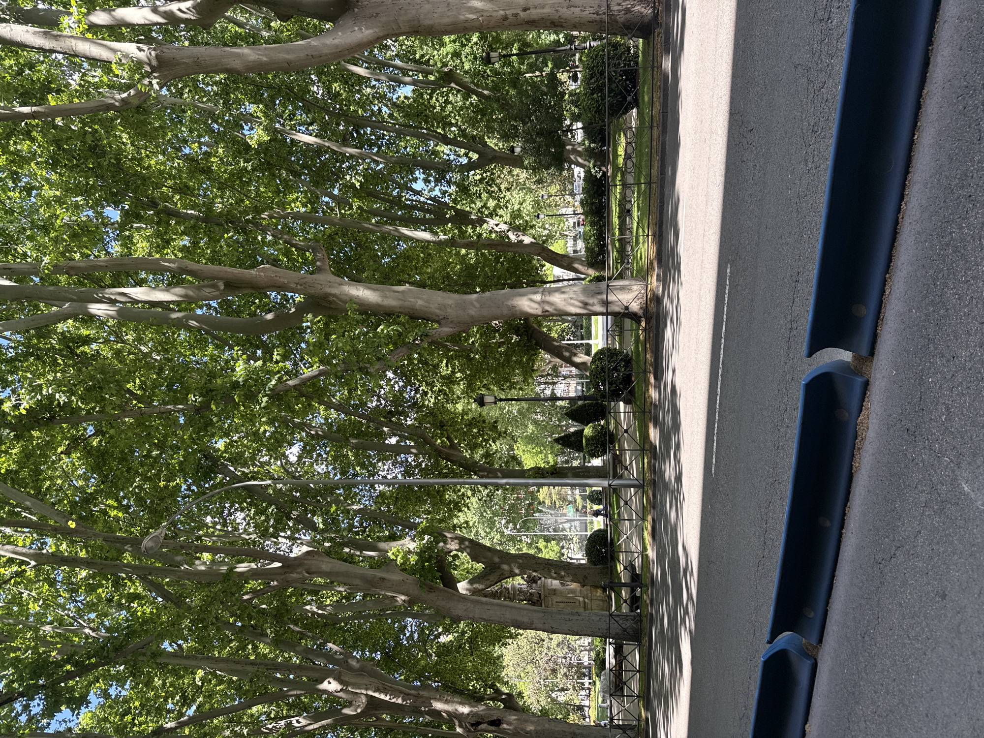 The image shows a street in Madrid, Spain. Trees line the street, casting shadows on the pavement. A metal fence separates the street from a park area. A dark blue curb is visible on the right side of the street. Streetlights are interspersed among the trees.