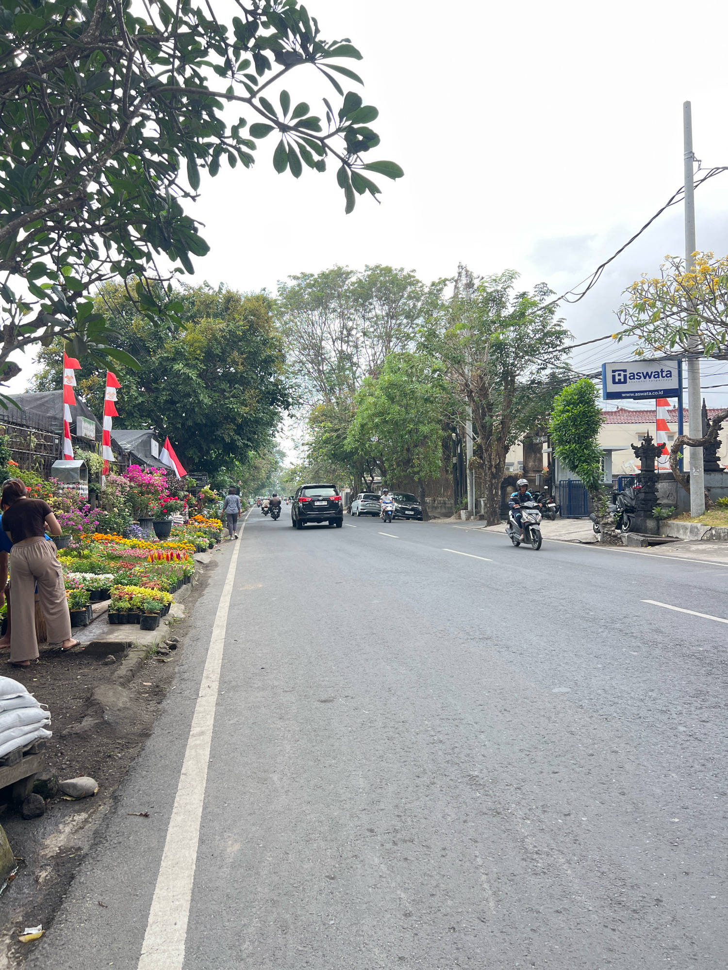 This is a street-level, eye-level shot of a roadside flower market on a cloudy day in Denpasar, Indonesia. The foreground features a sidewalk lined with numerous potted plants and flowers, ranging in color from bright reds and pinks to yellows and purples. Two women are partially visible on the left, one in a brown top and beige pants, the other in a blue top. Bags of white material are stacked on a wooden pallet to the left of the sidewalk.
The street itself is paved with asphalt and has a white lane divider. Several vehicles are present: a black SUV is driving away from the camera, followed by a motorcycle carrying two people. Another motorcycle with a single rider is moving towards the camera. In the background, trees line both sides of the street, and buildings are visible, including one with a blue sign that reads "H aswata" and "www.aswata.co.id". Indonesian flags, red and white, are displayed along the roadside flower stalls. The overall impression is a bustling, everyday scene in a tropical city.