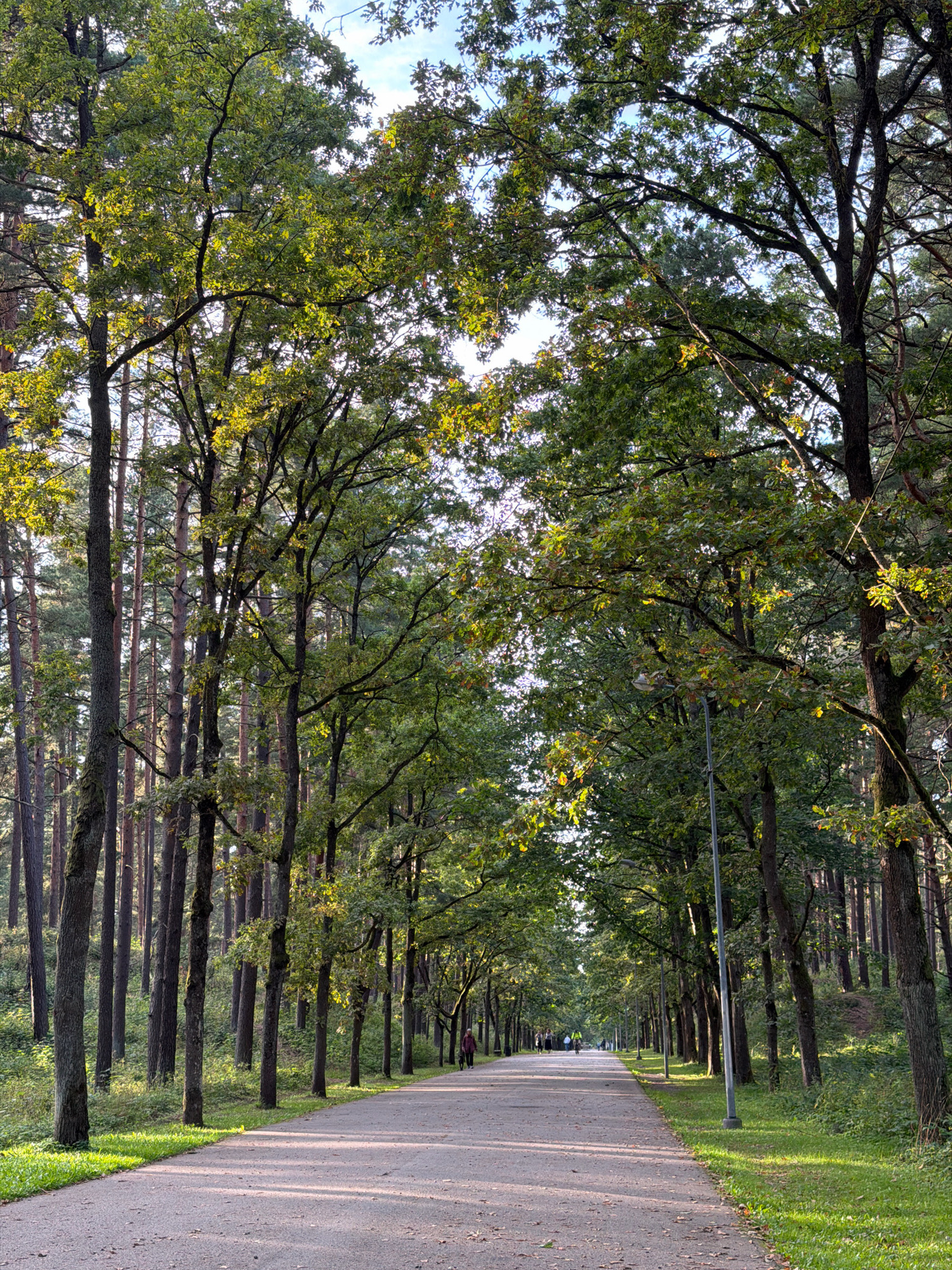 A paved pathway lined with tall trees, creating a canopy overhead, stretches into the distance. The path is bordered by grassy areas and dense woodland. Sunlight filters through the leaves, casting dappled shadows on the ground. A few individuals are visible walking and cycling along the path. A single lamppost stands on the right side of the pathway. This image depicts a park in Riga, Latvia, possibly Mežaparks.