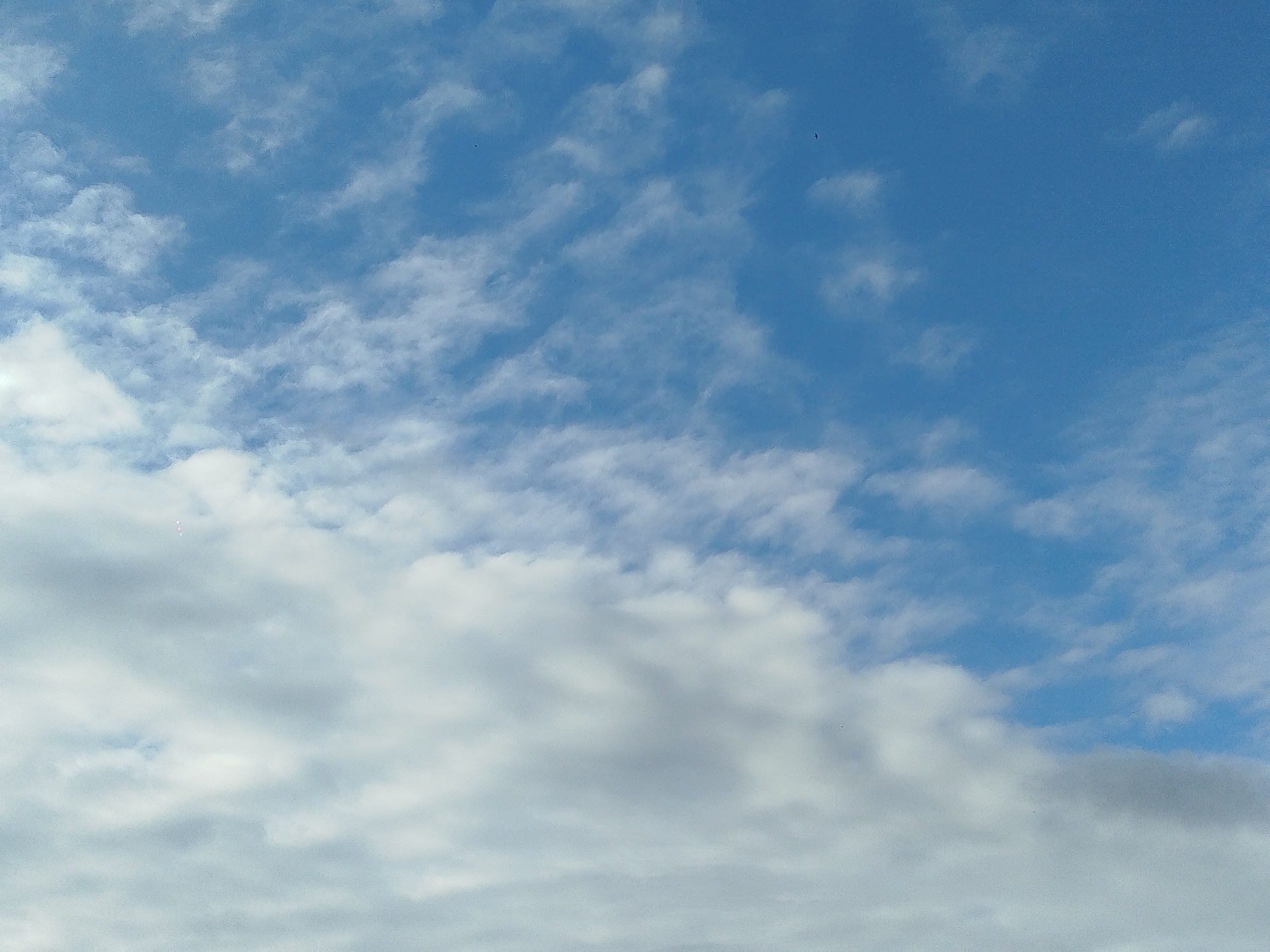 The image depicts a cloudy sky over the city of Meshokol', Russia. The sky is a vibrant blue, with scattered white and grey clouds. The clouds are varied in texture and density, with some appearing wispy and translucent, while others are more solid and opaque. The lower portion of the image is dominated by thicker, greyer clouds, suggesting a potential for precipitation. The upper portion of the sky is clearer, with more defined blue areas. The overall scene is natural and serene, typical of an outdoor environment. There are no people, structures, or man-made objects visible in the image, and no discernible actions or interactions are taking place. The image focuses solely on the atmospheric conditions.