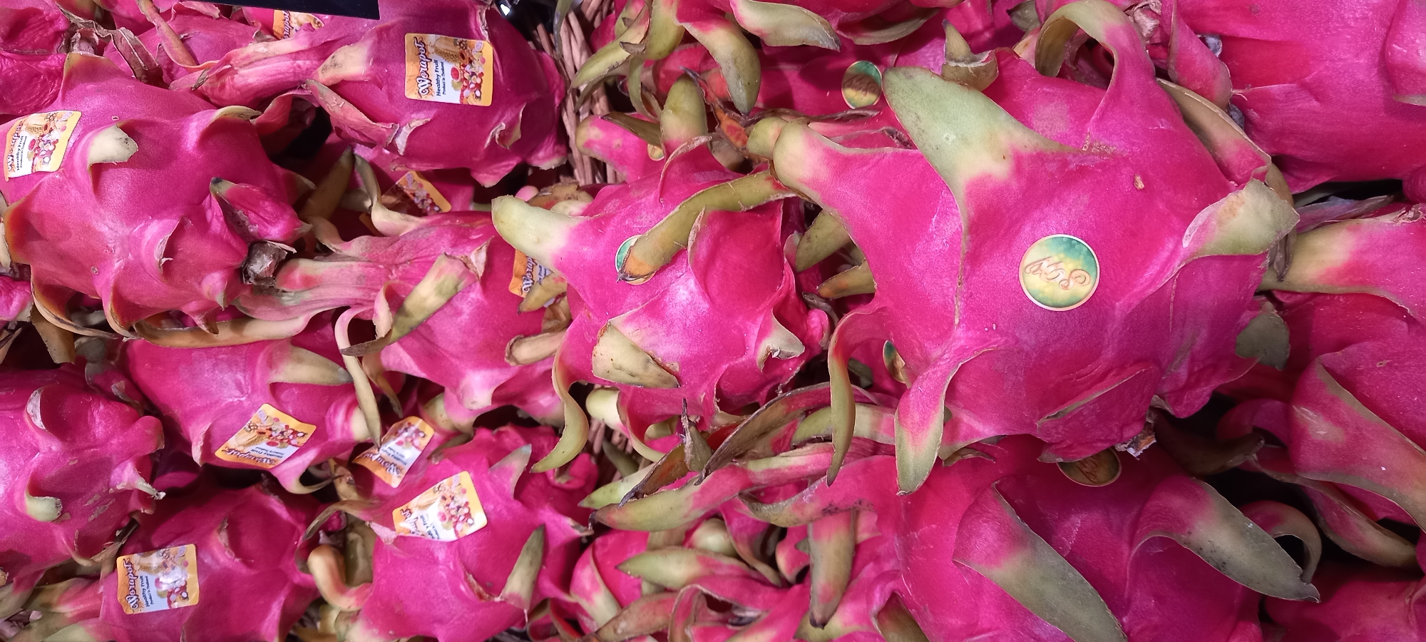 The image shows a pile of dragon fruit. Some of the dragon fruit have stickers on them. Some stickers are orange and yellow and say "Worapot Healthy Fruit Product of Thailand". Other dragon fruit have a circular gold-rimmed sticker with a green and yellow design on it.