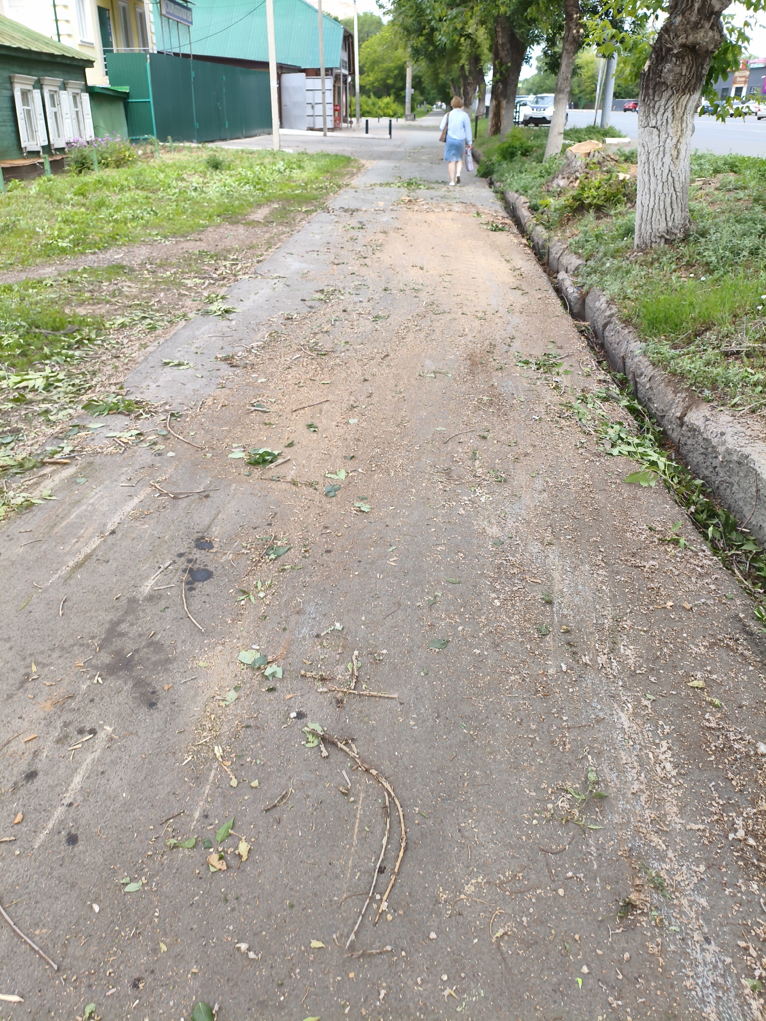 A paved walkway in Orenburg, Russia, is covered in debris from recently trimmed trees. The walkway is gray asphalt and shows some wear. Small branches, leaves, and sawdust are scattered across its surface. To the left of the walkway, there is a grassy area and a green building with white-trimmed windows. Further down the walkway, a woman walks away from the camera, carrying shopping bags. She is wearing a light blue dress and white shoes. To the right of the walkway, there is a drainage ditch lined with concrete. Beyond the ditch, grass and trees grow. In the background, cars are visible on a road, and more buildings line the street. The scene suggests a residential or mixed-use area of the city.