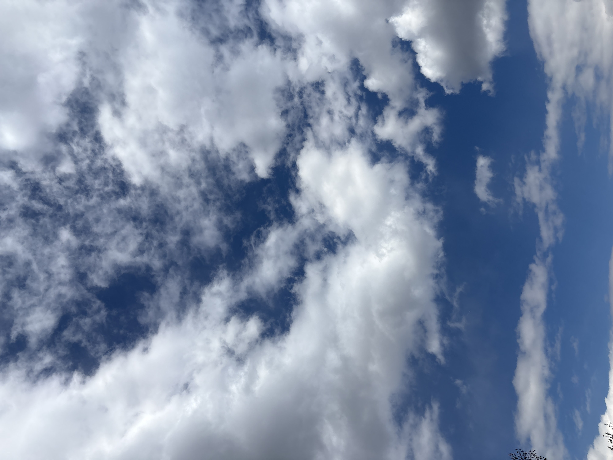The image shows a blue sky with white clouds. The location is unknown, and there is no evidence to suggest it is in Sofia, Bulgaria. No people, objects, actions, or interactions are visible. The environment consists of the sky and clouds.