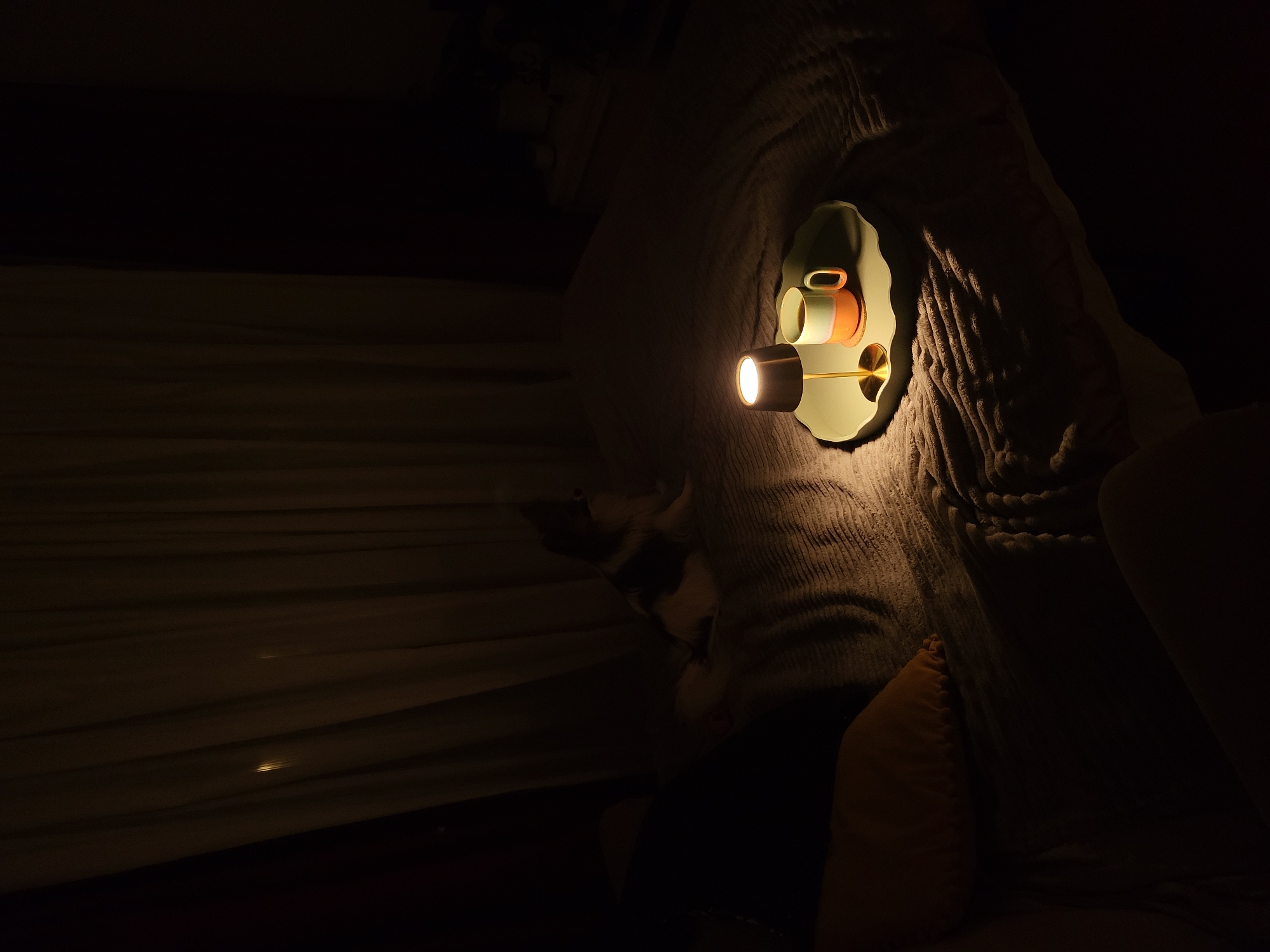 A dimly lit room reveals a bedside table lamp projecting a beam of light. The lamp, featuring an attached cup, is mounted on a corduroy-textured surface. A cat is partially visible, sitting beside an orange pillow. The location is Budva, Montenegro.