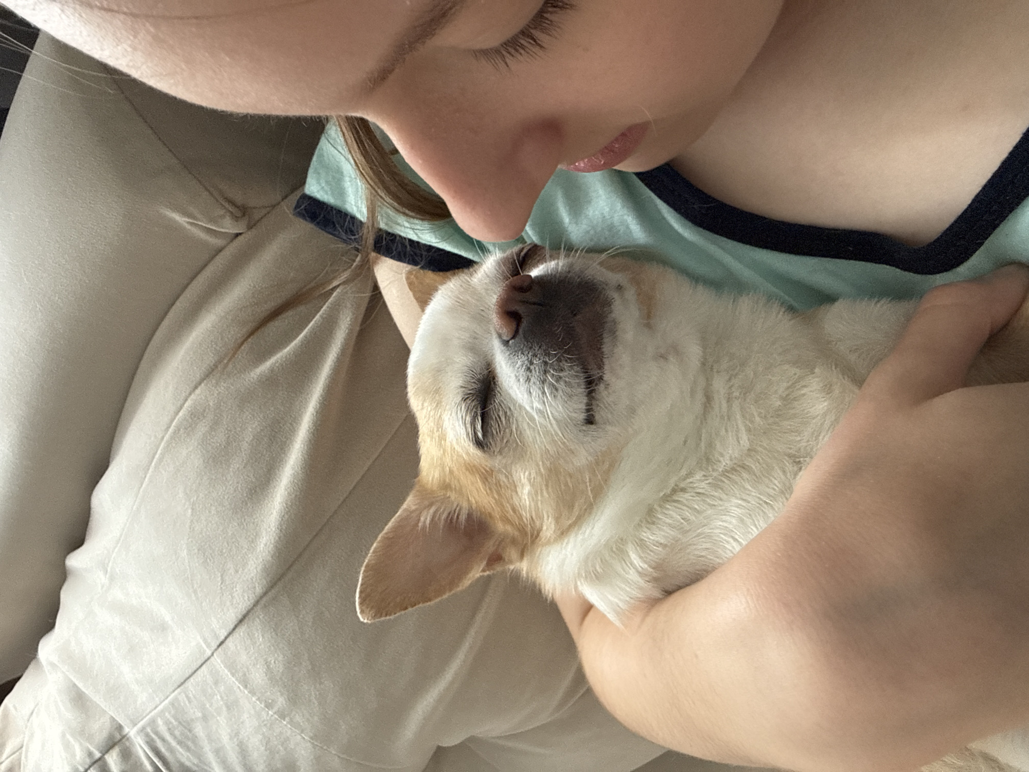A close-up shot depicts a person holding a small, tan and white Chihuahua dog. The person's face is partially visible, showing their nose, lips, and closed eyes. They appear to be in close contact with the dog, perhaps nuzzling it. The dog is nestled in the person's arms, eyes closed and seemingly relaxed. The person is wearing a light green shirt with a dark blue neckline. The background shows what appears to be light-colored clothing or bedding.
There is no information available that indicates the location of the image to be in Rostov-on-Don, Russia.
