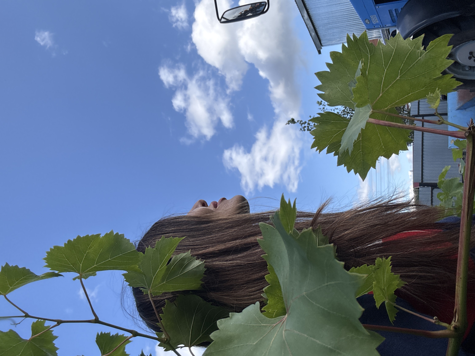 The image shows a woman in profile, looking upwards against a bright blue sky with scattered white clouds. She has long, dark brown hair. In the foreground, large green grape leaves obscure parts of the woman and the sky. To the right, a blue tractor is partially visible, with its side mirror reflecting a scene. A corrugated metal building is behind the tractor. A metal fence is also visible in the background. The scene appears to be outdoors, possibly in a rural or semi-rural setting. The location is identified as Dubovaya, Russia.