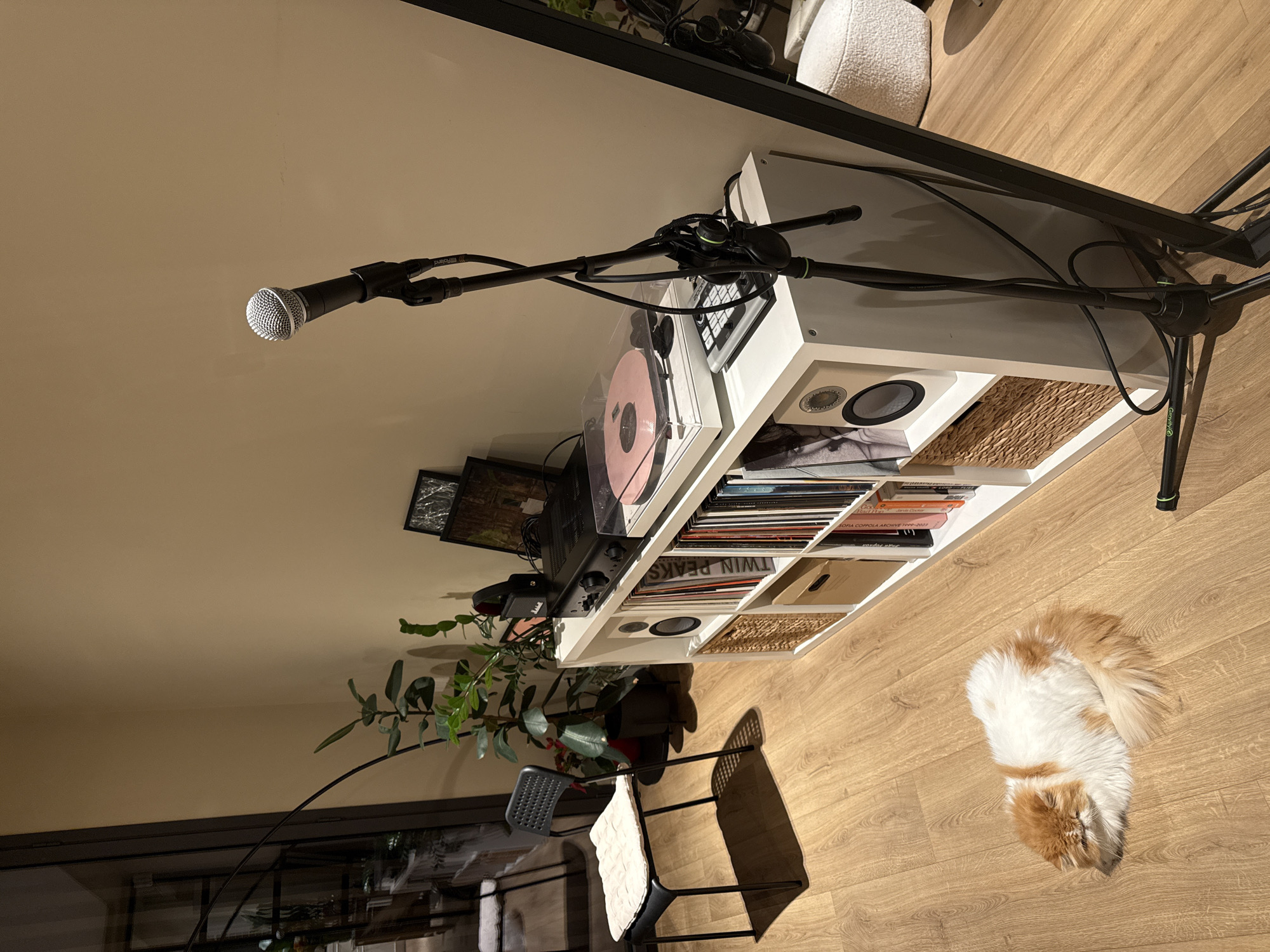 The image shows a domestic interior, oriented at a slight angle. Dominating the scene is a white shelving unit filled with records, including a "Twin Peaks" record, a turntable with a pink vinyl record, and woven baskets. A microphone on a stand extends across the top of the shelves. A chair with a white cushion is positioned near a plant. In the bottom right corner, a white and orange cat is lying on a wooden floor. There is no information to suggest that the location is in Barcelona, Spain.