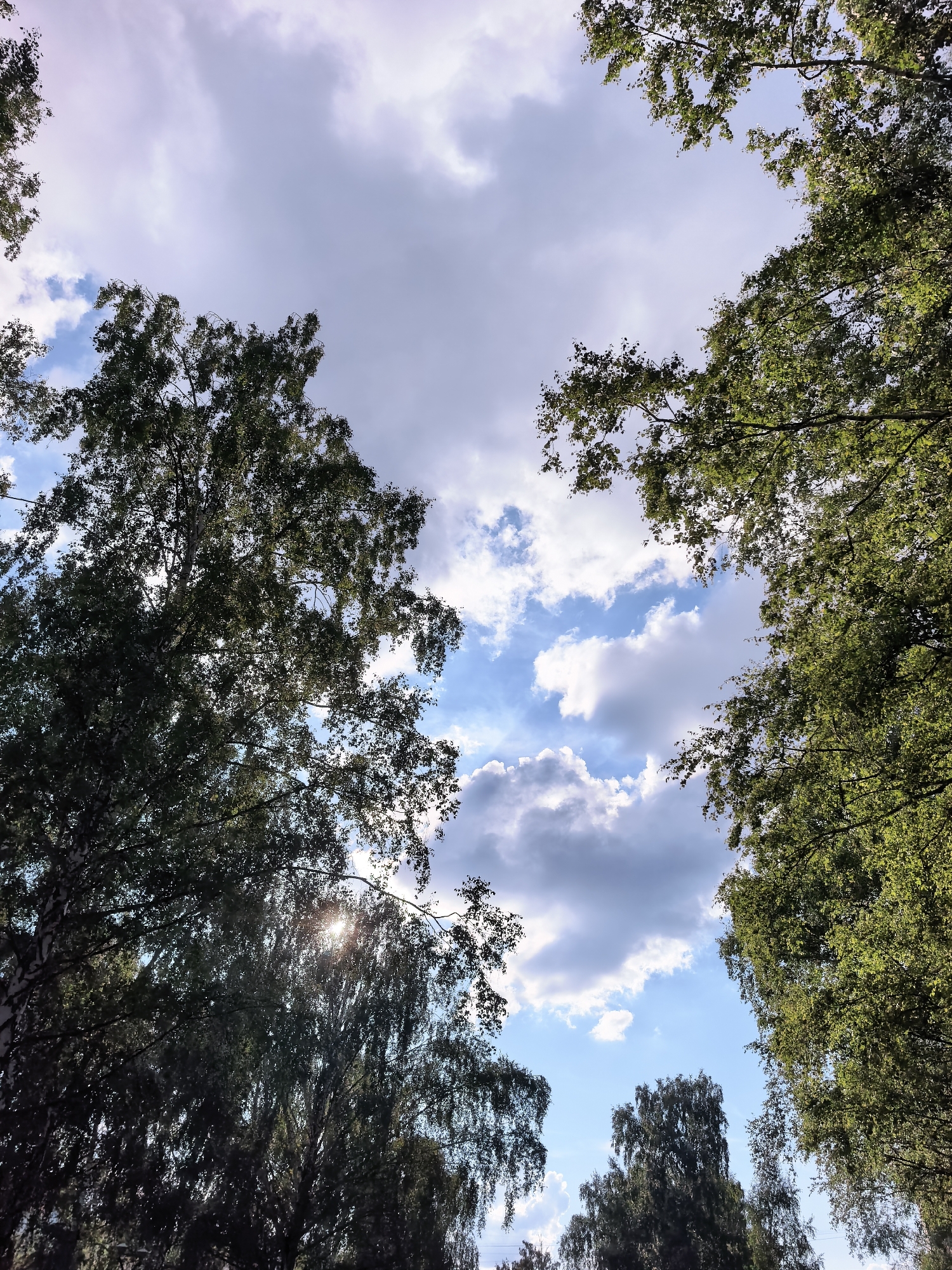 The image shows a view looking up through the canopy of trees towards a partly cloudy sky. The trees are lush and green, with sunlight filtering through the leaves. The sky is a mix of blue and white clouds. There are no people or objects visible other than the trees and the sky. The scene appears to be an outdoor natural setting, possibly a park or a wooded area. The location in the city of Sterlitamak, Russia, is not discernible from the image itself.