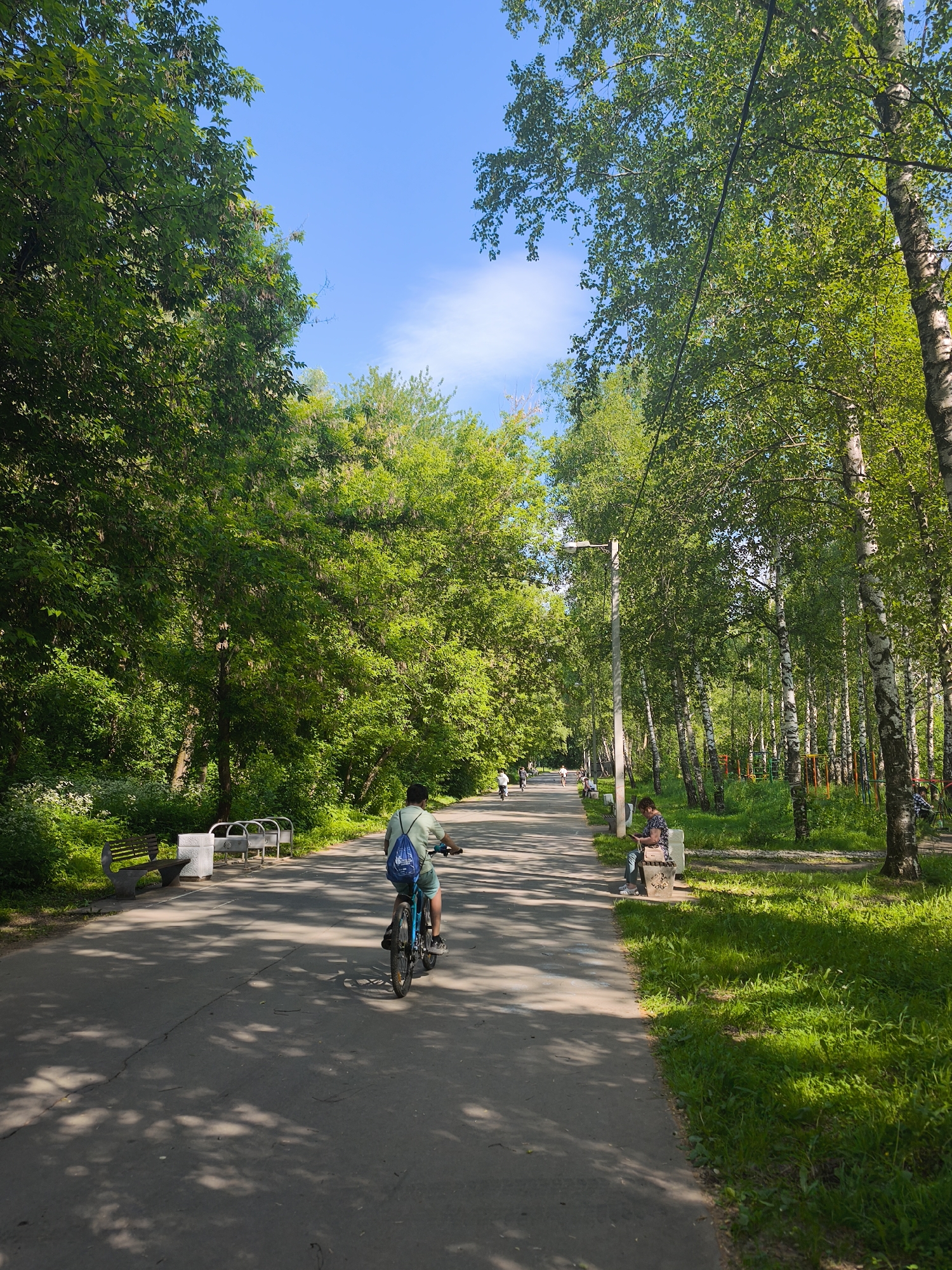 The image depicts a sunny day in a park, likely in Yoshkar-Ola, Russia, given the context provided. A paved path runs through the park, lined with lush green trees on both sides. A person on a bicycle is riding away from the camera down the path. To the left of the path, there are park benches and a trash receptacle. Further down the path, other individuals can be seen walking or cycling. On the right side of the path, a dense area of birch trees is visible, with patches of green grass in between. Sunlight filters through the leaves, casting dappled shadows on the path. The sky is blue with a few wispy clouds. The overall scene conveys a peaceful and recreational atmosphere typical of a summer day in a public park.