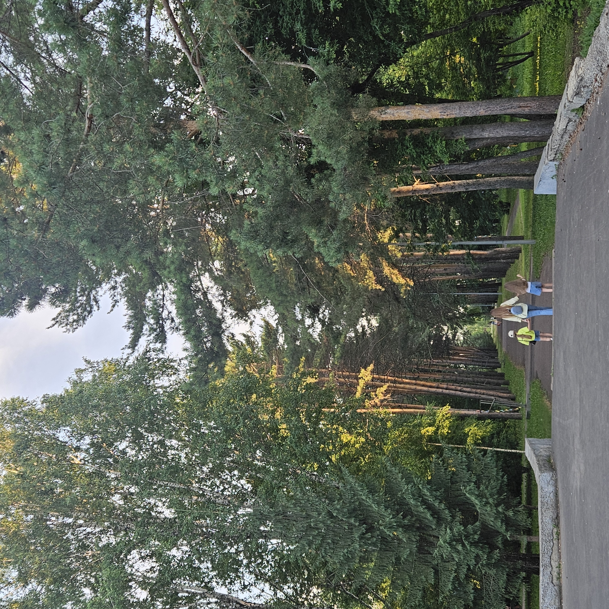 The image depicts a scene of a park pathway lined with tall trees. The perspective is from a low angle, looking up towards the canopy of pine and other deciduous trees, some of which appear to be birch trees due to their distinctive white bark. Sunlight filters through the leaves, creating dappled patterns on the ground and illuminating the foliage with a warm glow, suggesting it is either early morning or late afternoon.
There are three young people walking on the pathway. One person in the foreground is wearing a bright yellow-green shirt and blue shorts, with a helmet on their head, suggesting they might be rollerblading or biking. Further ahead, two other individuals, seemingly teenagers or young adults, are walking together. One is wearing a light-colored top and blue jeans, and the other is wearing blue shorts. The pathway is paved, with a rough stone or concrete border on the right side of the image. The surrounding area is covered in green grass and more trees, creating a lush, natural environment.
The overall mood is peaceful and serene, indicative of a casual outing in a park. The location context of Kemerovo, Russia, further situates the scene within a typical urban park setting in that region, likely during the warmer months. There is no visible text in the image.