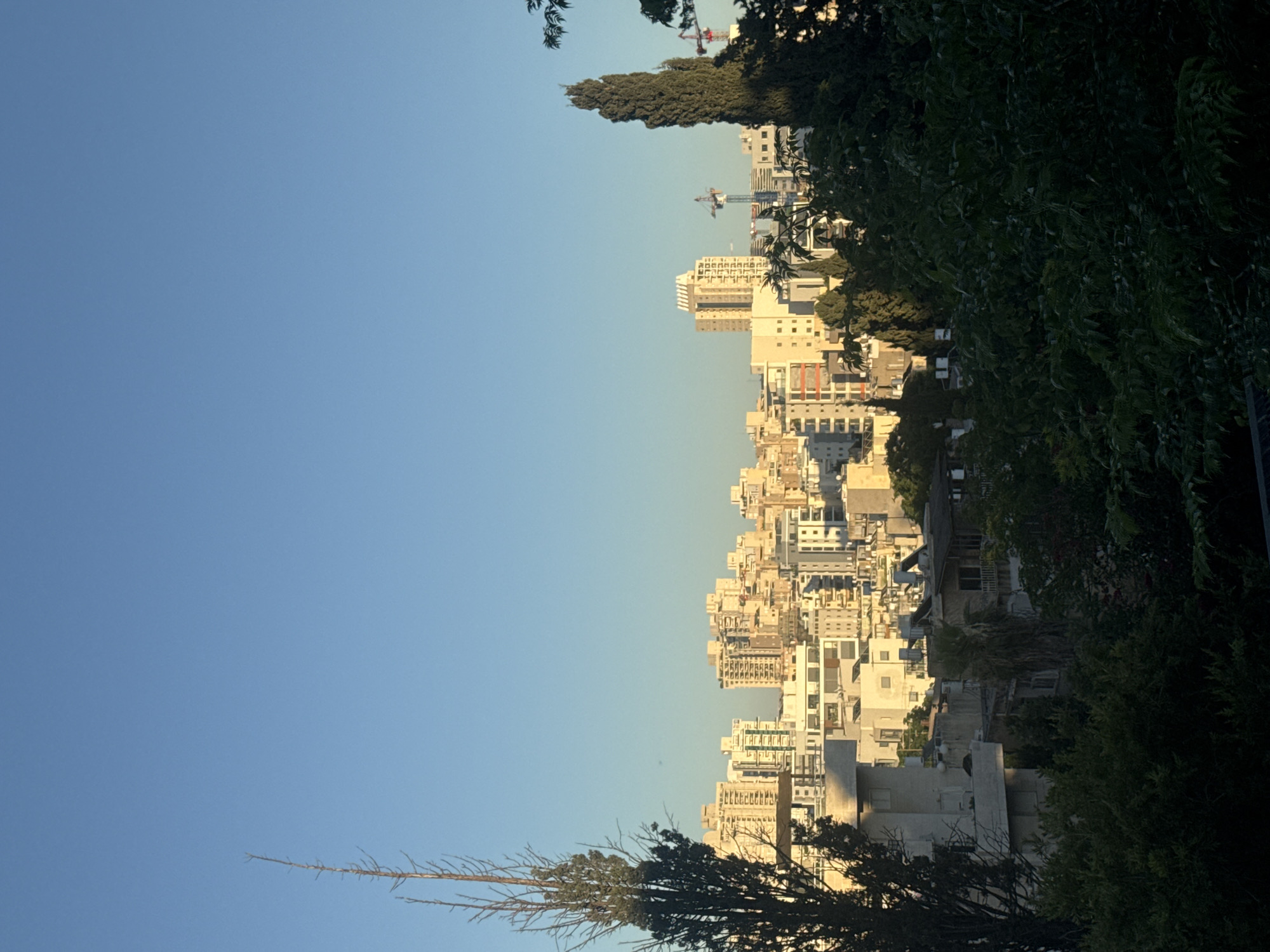 A panoramic, medium-distance, eye-level, outdoor, vertical, daylight shot captures a section of the city of Ramat Gan, Israel. The image is dominated by a clear, pale blue sky that fills the upper half of the frame. Below the sky, a dense urban landscape unfolds, characterized by numerous residential and commercial buildings of varying heights. The architecture features a mix of modern high-rise apartment buildings with multiple balconies and windows, as well as some lower-rise structures with flat roofs. The buildings are primarily constructed from light-colored materials, such as concrete and possibly stucco, and appear to be bathed in the warm, golden light of either early morning or late afternoon sun.
In the foreground and along the sides of the image, lush green foliage from trees and bushes partially obscures the lower portion of the cityscape. Two prominent, tall, slender, dark green coniferous trees stand out on either side of the frame, their branches reaching upwards towards the sky. A thinner, bare tree with a delicate, twig-like structure is visible on the left side, extending from near the bottom edge into the upper half of the image, silhouetted against the sky.
Further into the cityscape, several construction cranes are visible, indicating ongoing development or renovation within the city. One large crane with a red boom is situated towards the right side of the mid-ground, and another appears behind it. The overall impression is one of a bustling, developed urban environment with elements of nature interspersed. No people are visible in the frame. The scene is tranquil and serene, suggesting a peaceful moment in the city.