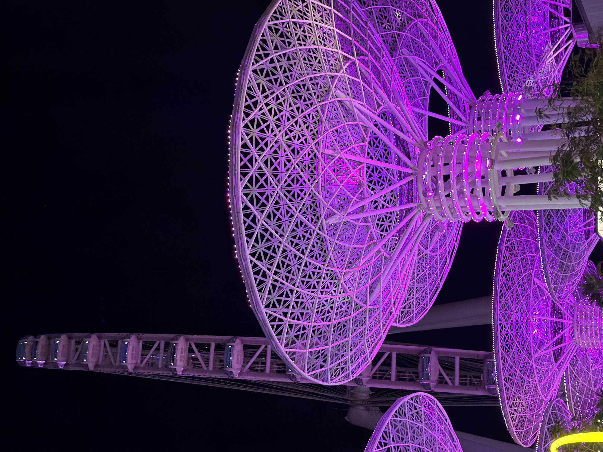 The image features a striking view of the Ain Dubai observation wheel at night, illuminated primarily in a vibrant purple light. The colossal structure dominates the frame, set against a completely dark, clear night sky. Its intricate latticework design, composed of numerous crisscrossing beams and supports, is vividly highlighted by the intense purple illumination, creating a captivating visual effect.
The wheel displays a complex geometry of triangular and square patterns forming its massive circular elements. Along the outer edges of these sections, small white lights twinkle, outlining their form and adding to the dazzling display. Towards the right side of the image, a few green leaves and branches of a tree are partially visible, offering a natural element against the illuminated structure.
Several gondolas or passenger cabins are discernible, attached to the wheel's spokes, confirming its function as an observation wheel. These cabins are subtly lit, complementing the overall nighttime ambiance. The central hub of the wheel is also brightly illuminated in purple, showcasing cylindrical components that emphasize the wheel's impressive scale and engineering.
The scene conveys a sense of grandeur and technological sophistication, characteristic of Dubai's modern urban landscape in the United Arab Emirates. The deep purple lighting lends an almost otherworldly and celebratory atmosphere to the landmark structure. The time of day is clearly night, with no visible weather conditions other than a clear sky. There are no people visible, and no specific activity beyond the structure's illumination is depicted. No text is visible in the image.