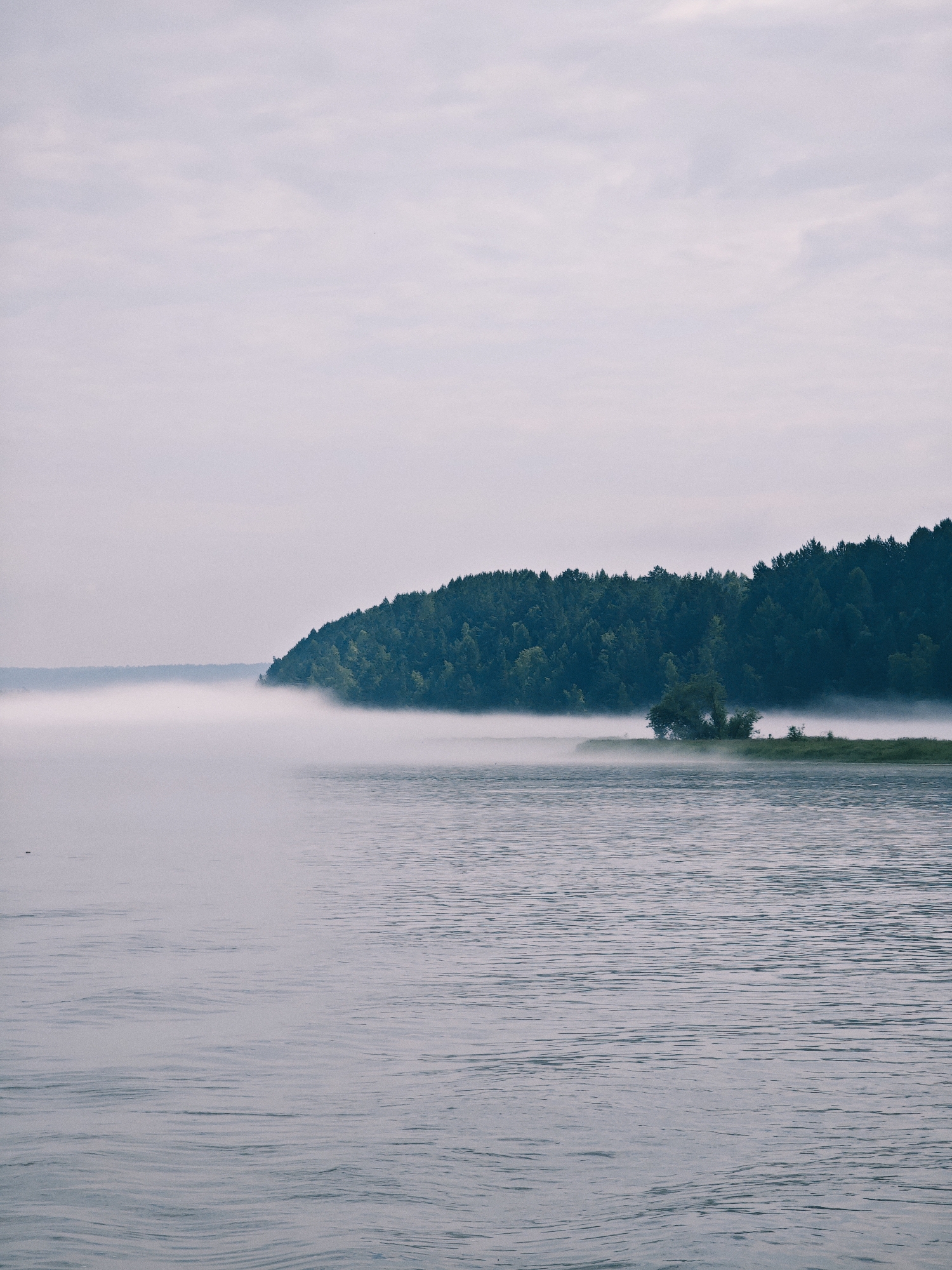 The image depicts a tranquil, natural landscape scene, likely early in the morning or late in the evening due to the mist and soft lighting. In the foreground, a body of water, possibly a river or lake, is visible. Its surface is relatively calm, with subtle ripples creating a textured pattern. A dense, dark green forest blankets a hillside that juts out into the water on the right side of the frame. The shoreline is partially obscured by a thick, white mist that hovers low over the water, creating a hazy and ethereal atmosphere. A few scattered trees stand on the edge of the land, breaking the uniformity of the treeline. The sky above is overcast with a pale, diffused light, contributing to the overall muted color palette of the scene. The location is identified as Атаманово, Russia. There are no people or discernible man-made structures in the image.