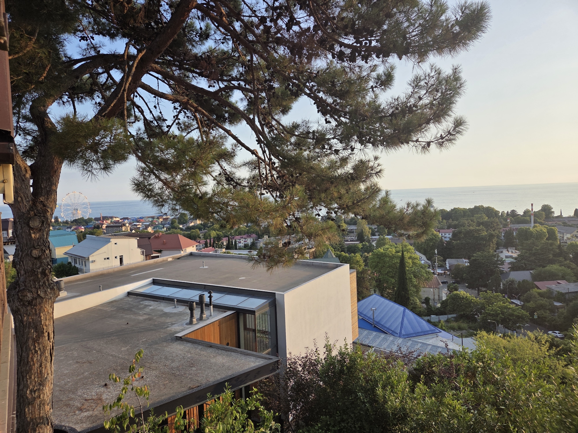 This is an eye-level, medium shot of a view overlooking a coastal town. In the foreground, the gnarled trunk and branches of a large pine tree with numerous pinecones are visible on the left, partially obscuring the view. Below the tree, a modern, multi-level building with flat roofs is prominent, featuring concrete surfaces, glass windows, and a light-colored facade. Several exhaust pipes protrude from one of the roofs. Beyond this building, the town unfolds with a mix of residential houses, many with red or colorful roofs, interspersed with lush green trees and vegetation. A Ferris wheel can be seen in the distance on the left side of the frame, near the coastline. The sea stretches to the horizon under a pale, hazy sky, suggesting either dawn or dusk. The overall atmosphere is serene and suburban, with a hint of resort town ambiance due to the Ferris wheel and proximity to the sea.